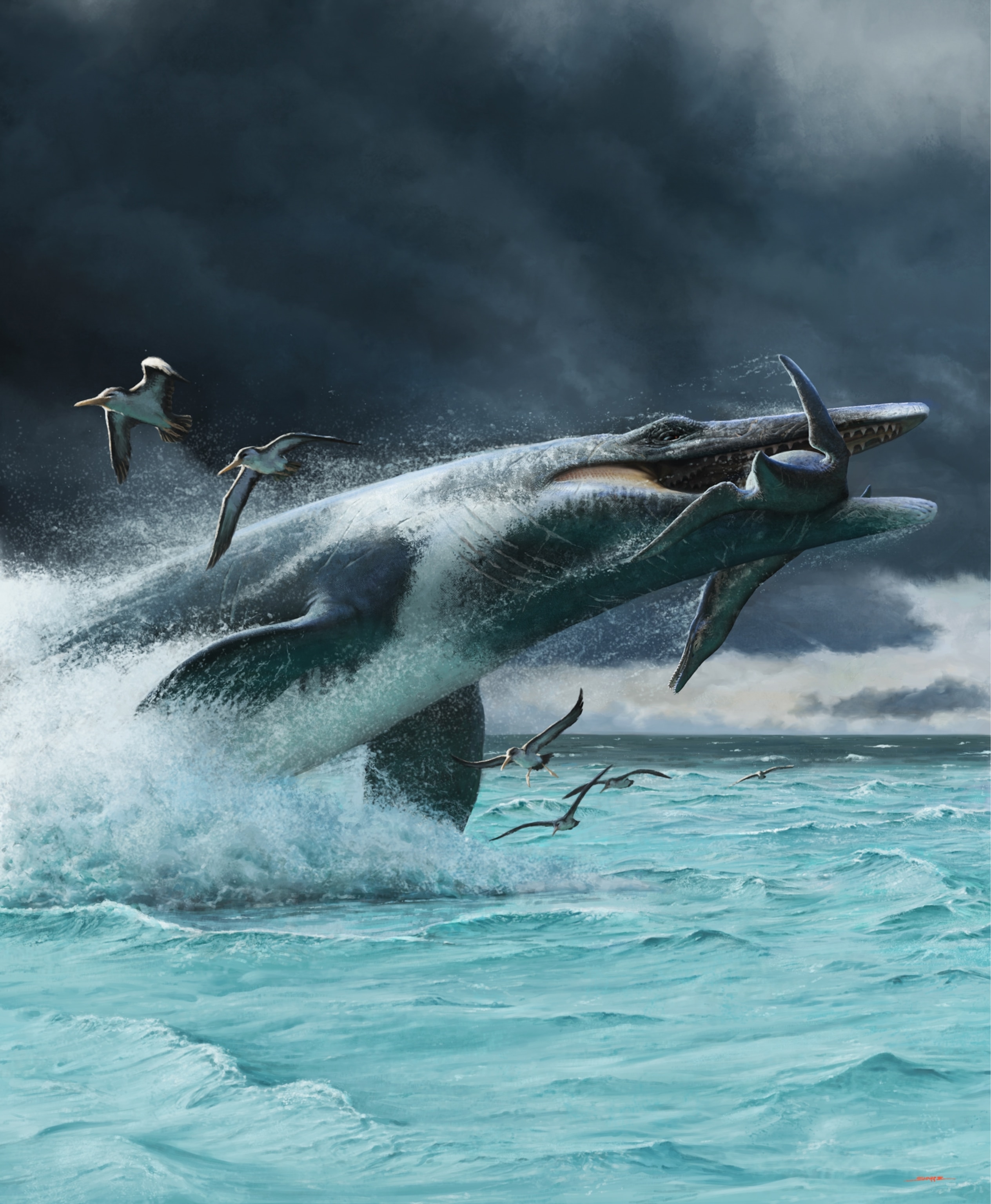 After a powerful, tail-driven lunge, a Tylosaurus bursts out of a stormy Late Cretaceous sea with an unfortunate polycotylid plesiosaur in its jaws as startled Ichthyornis flee the scene.
