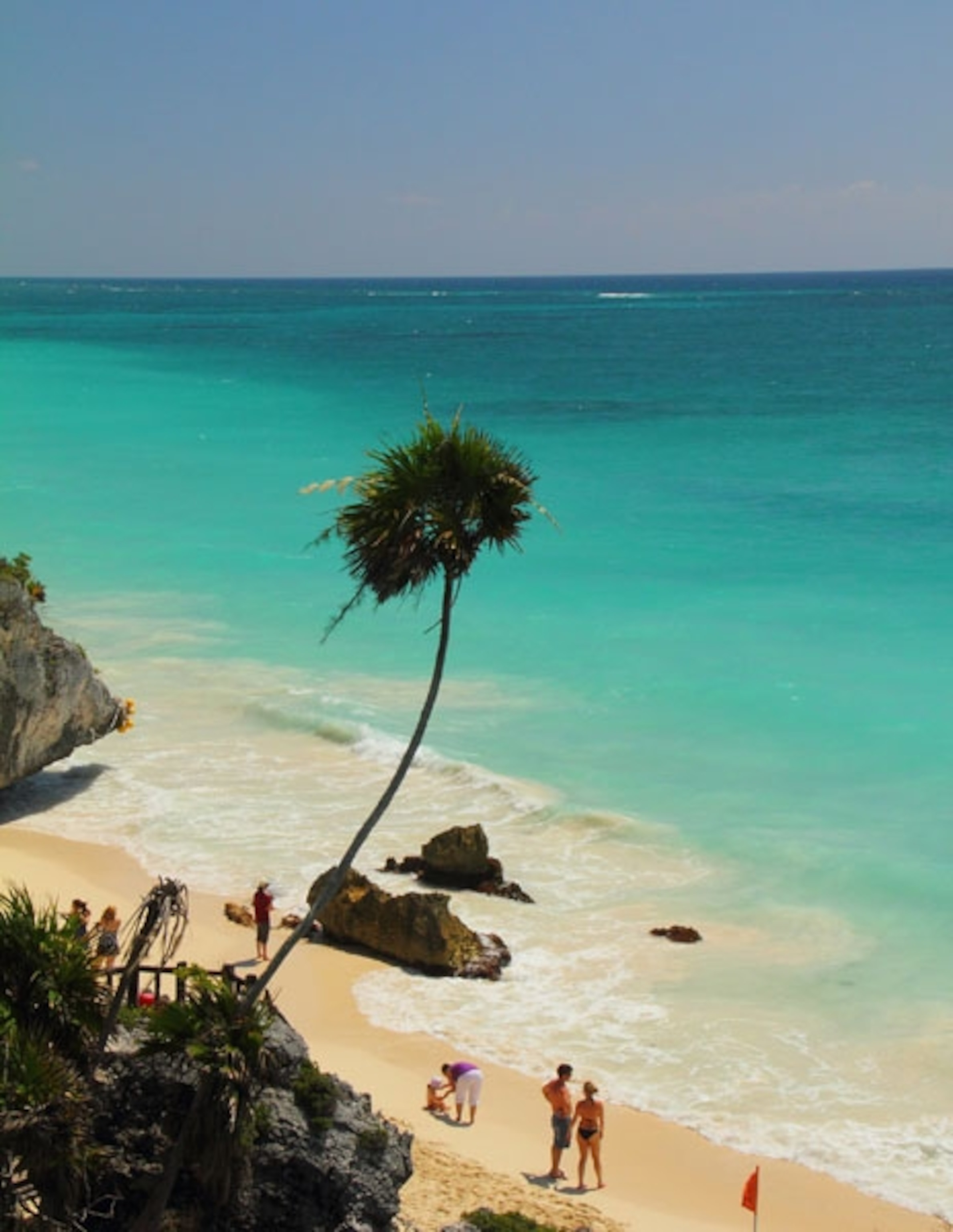 Sunny tropical beach with a lone tall coconut palm tree in Tulum Mexico