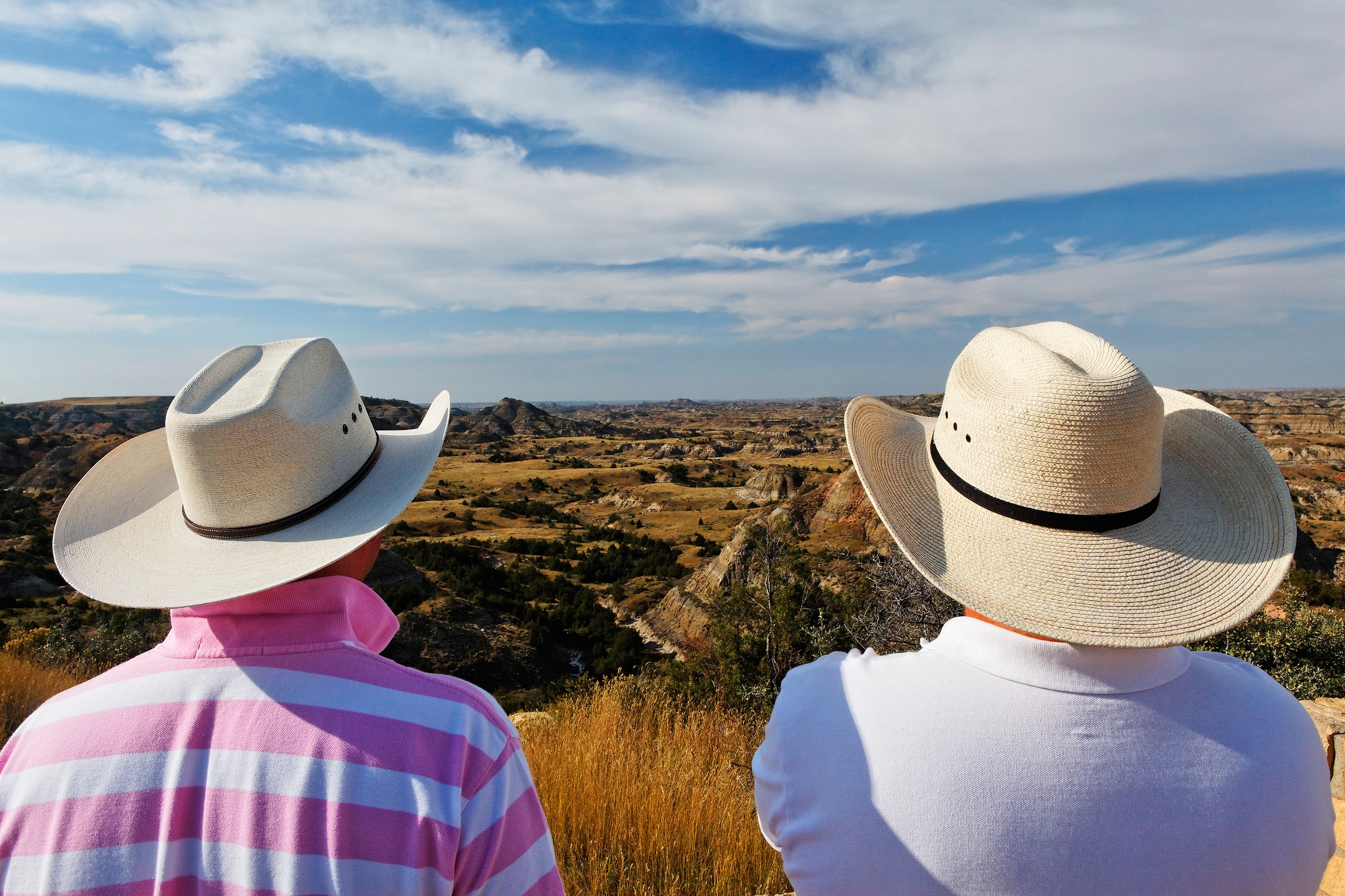 Painted Canyon Badlands im Theodore Roosevelt National Park, Medora, North Dakota, USA