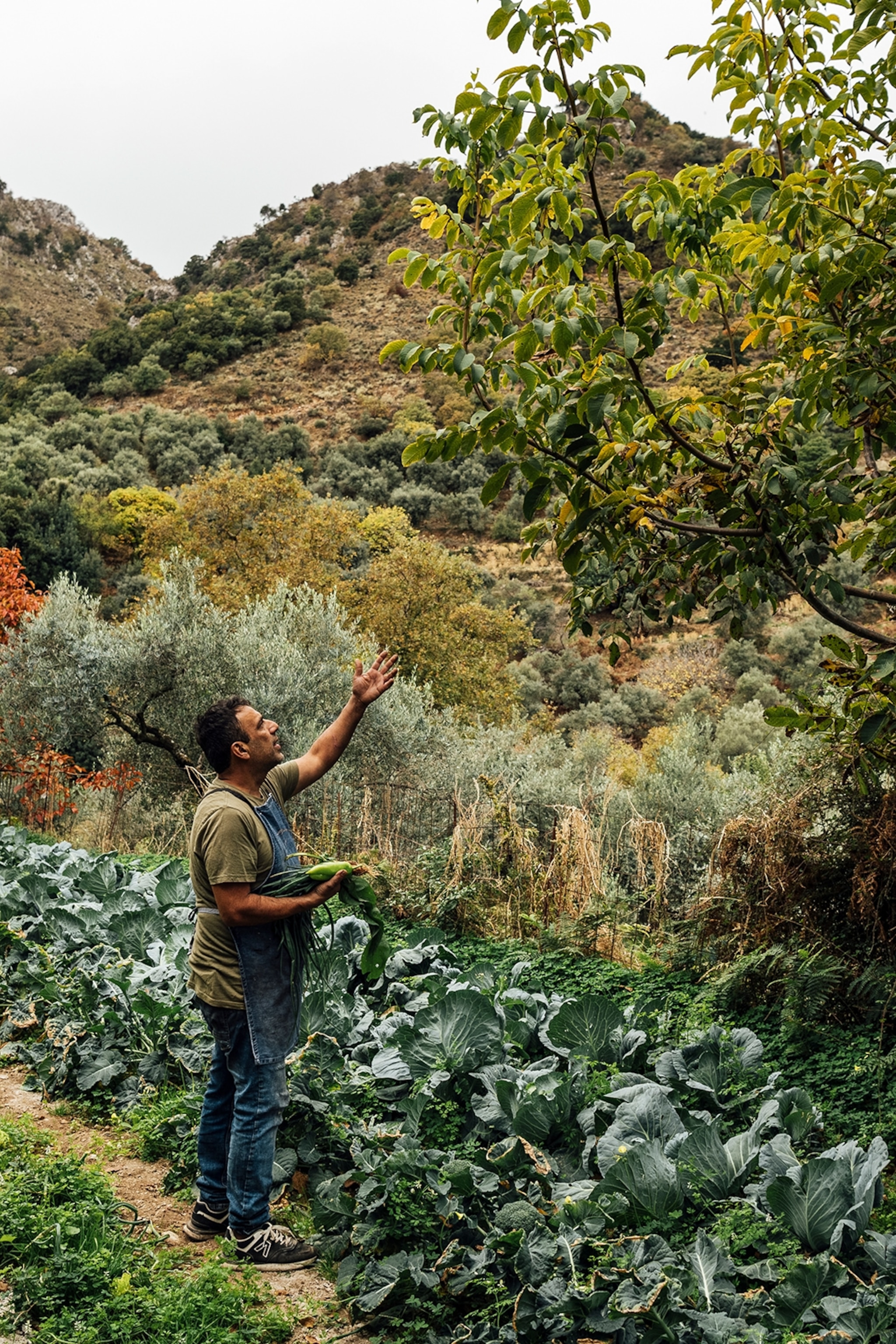 A farmer gestures towards a tree while holding vegetables in his other hand.