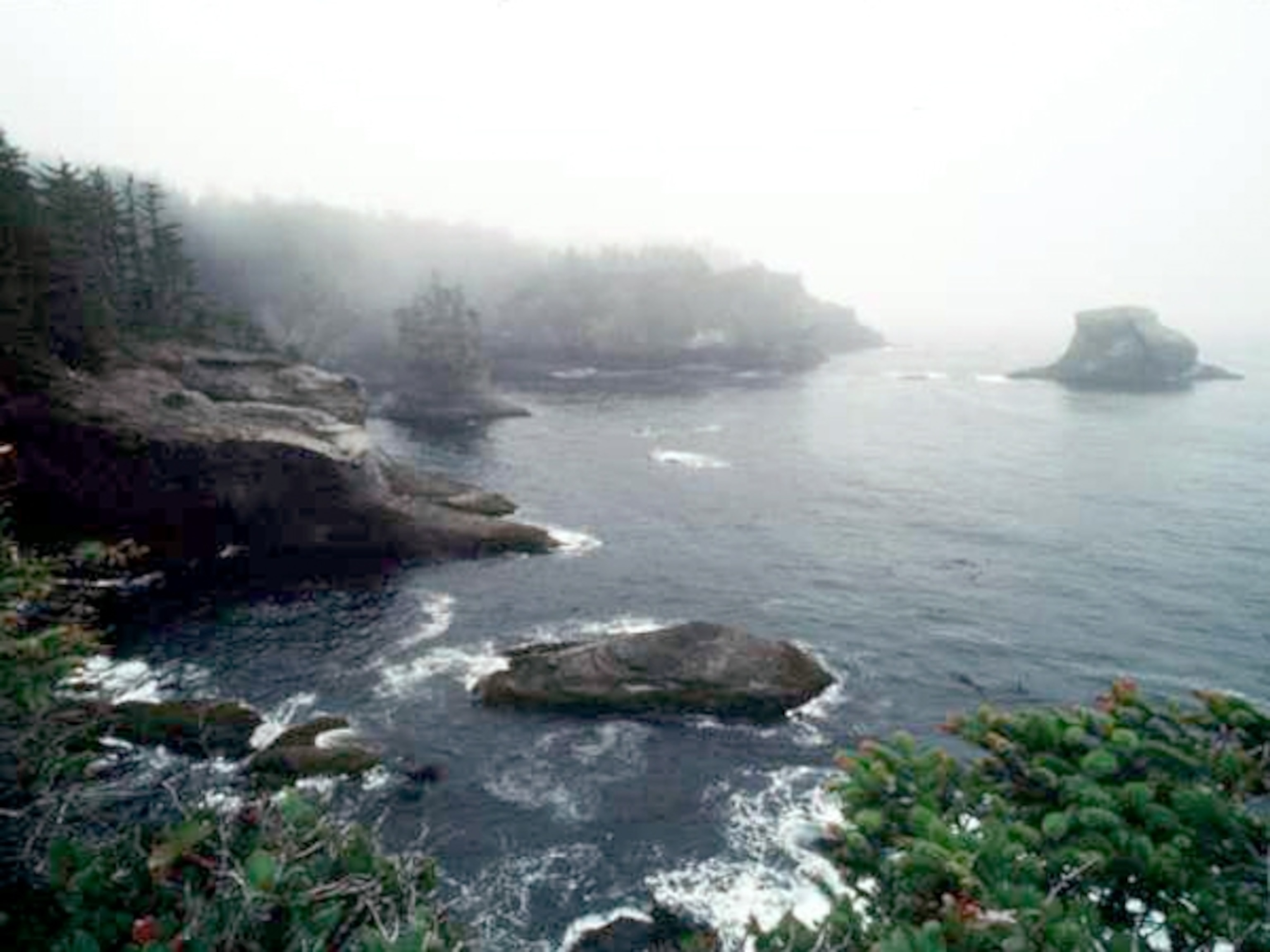 Washington coast