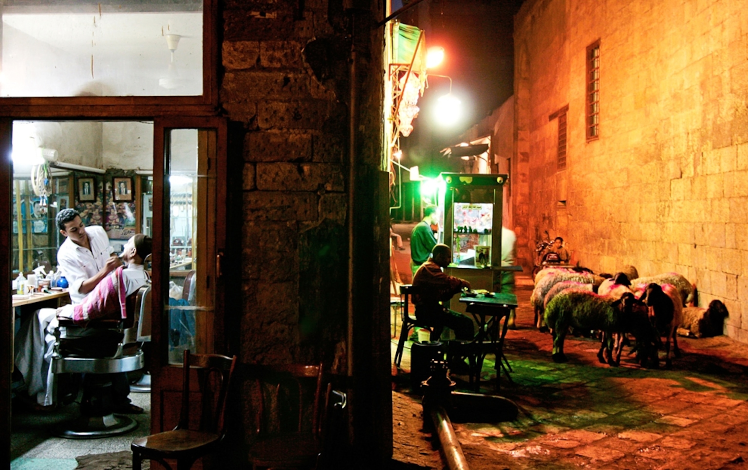 Night at a barber shop that borders an alley with sheep