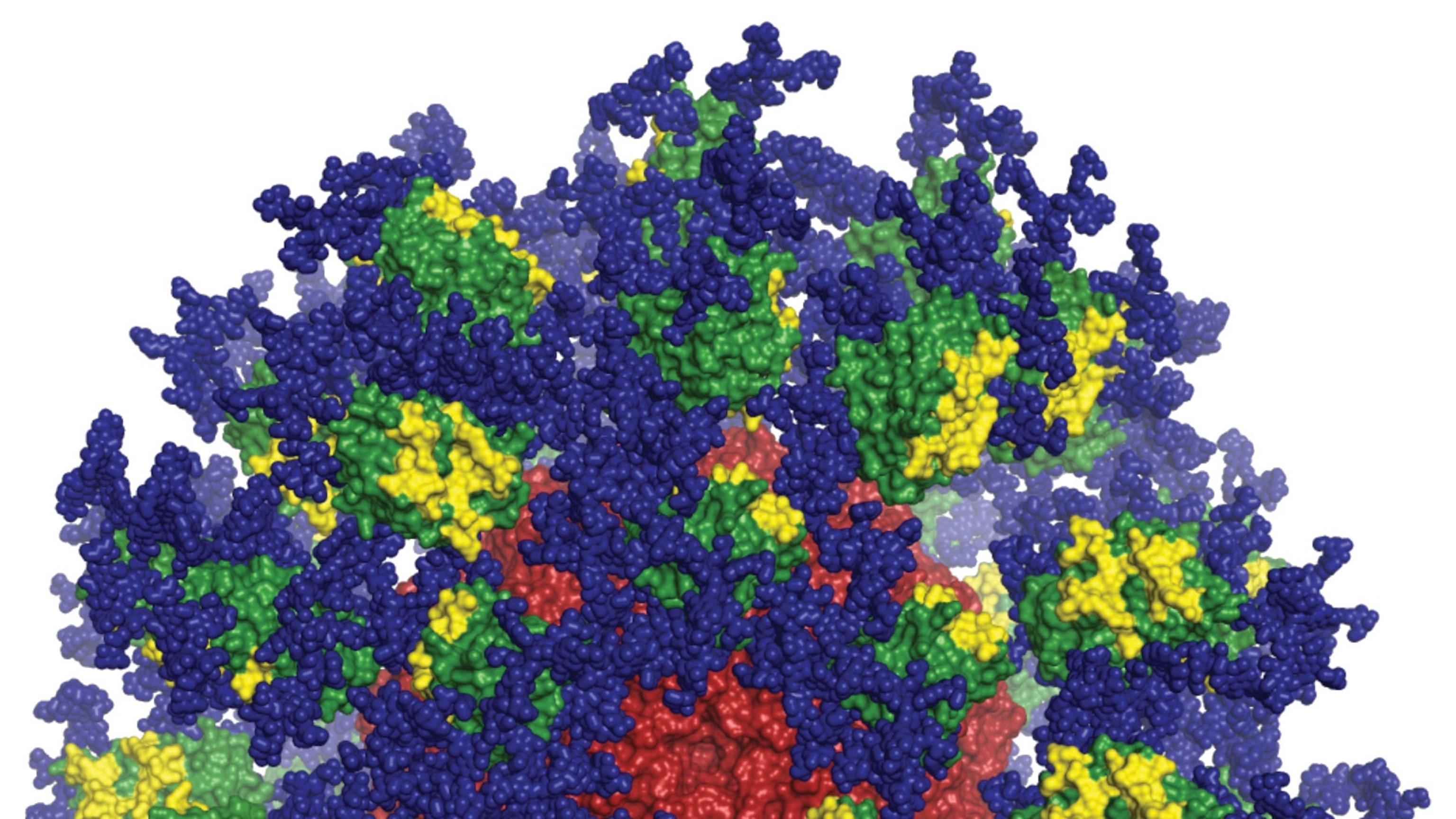 The four-decade quest for an HIV vaccine yields new hope
