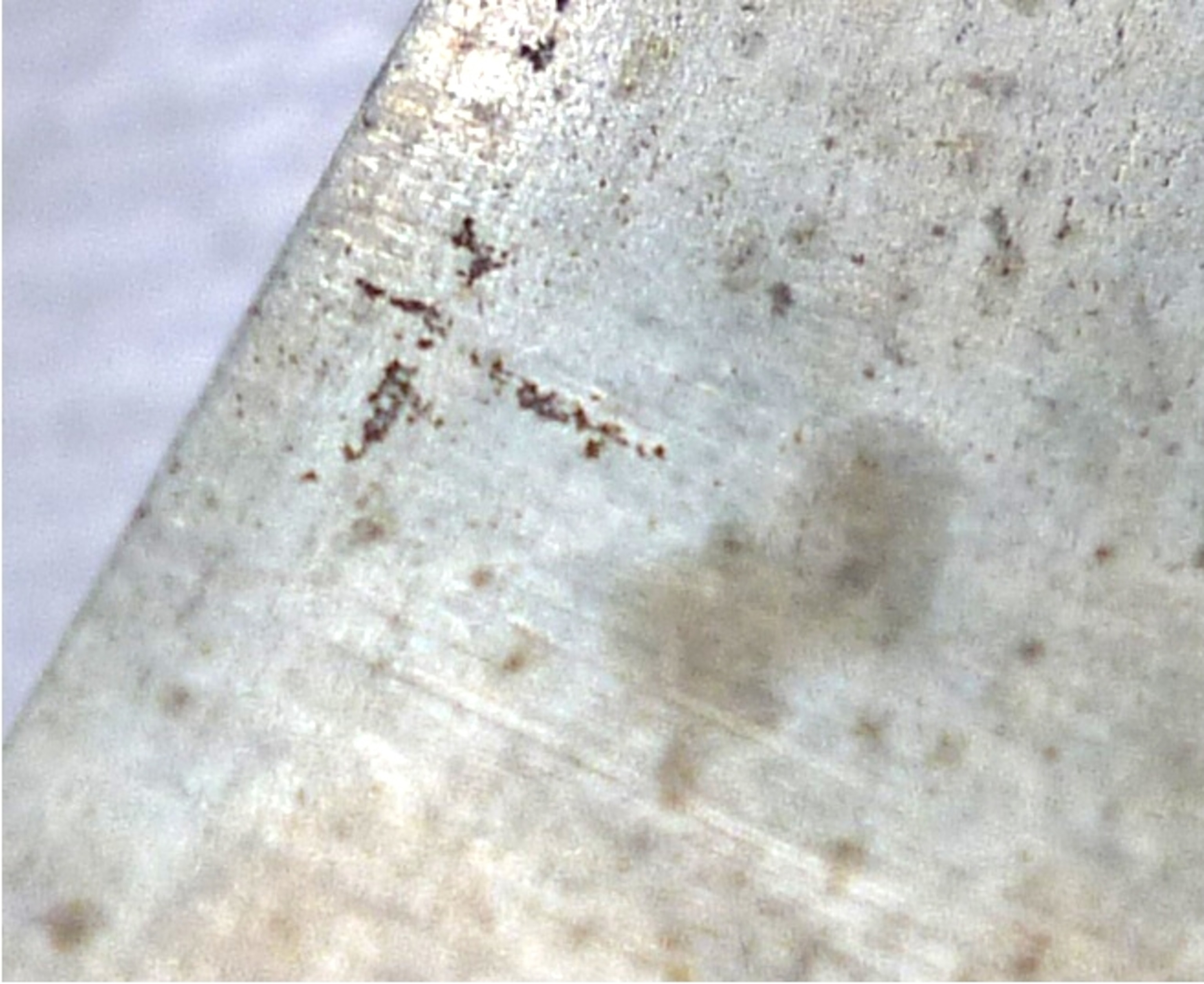 Photograph by Maryn McKenna