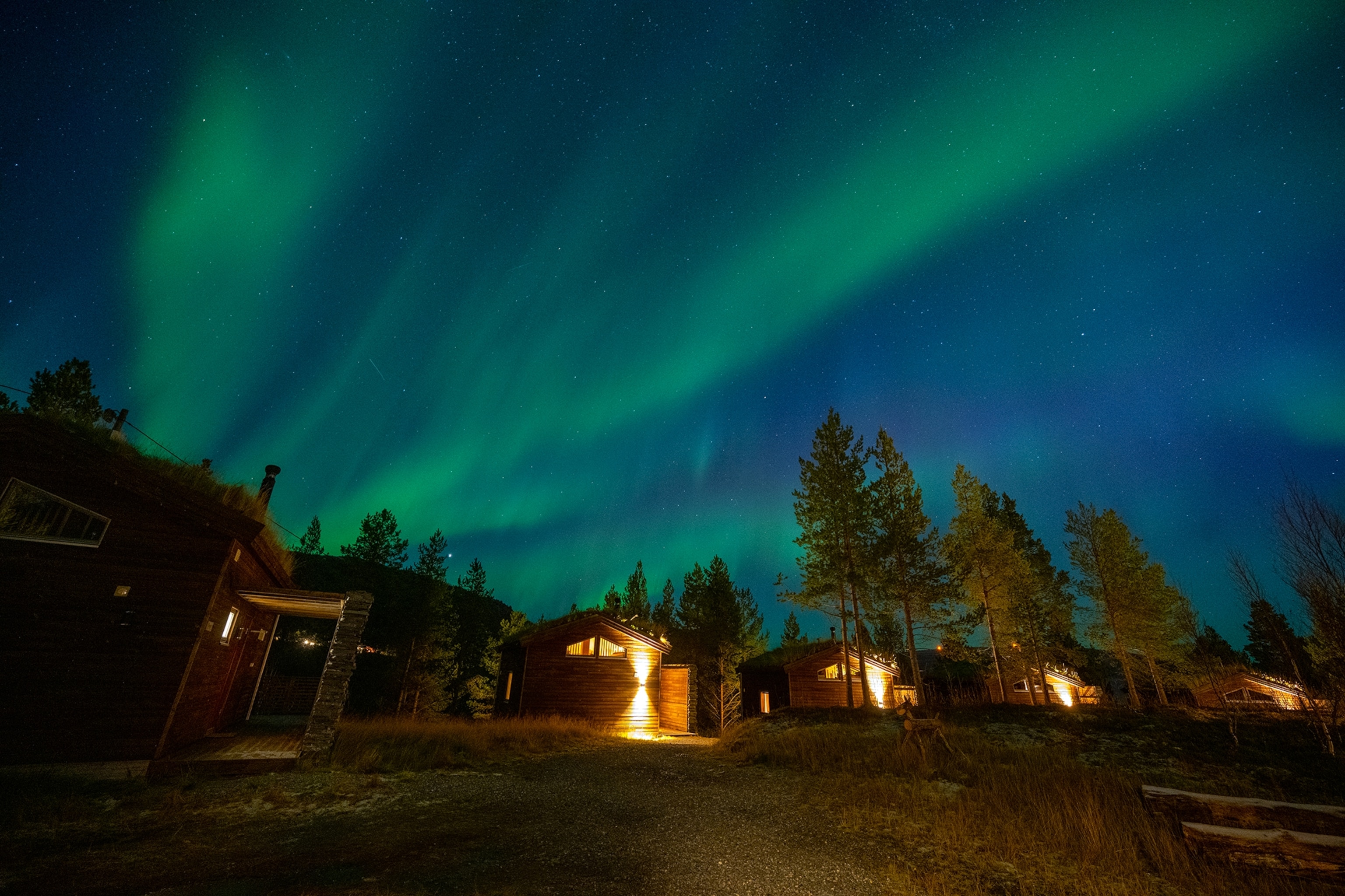 Blue and green Northern Lights glow above cabins in Alta.