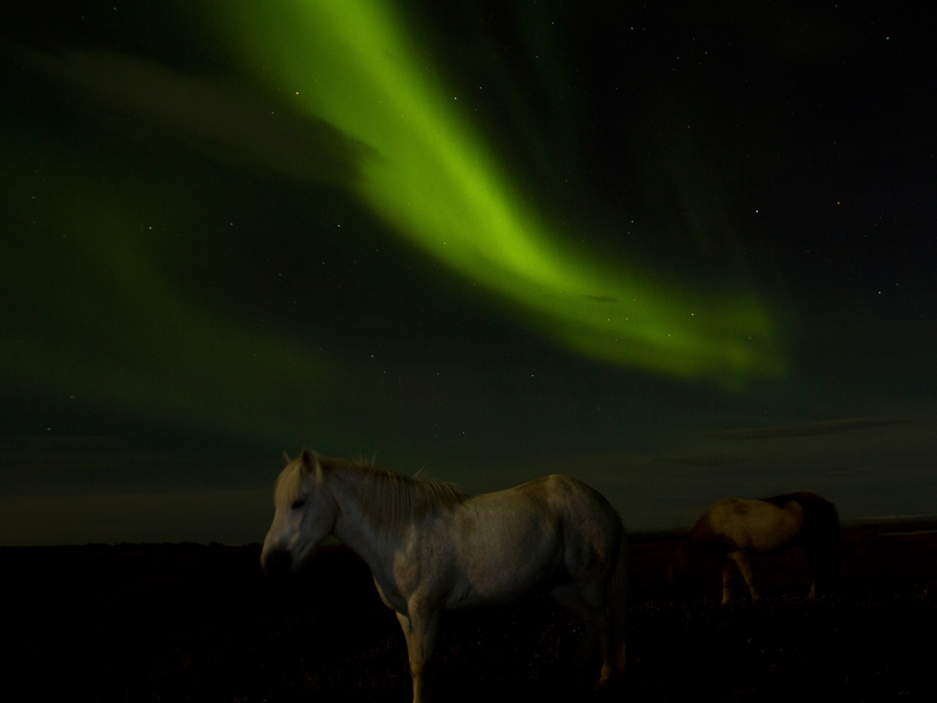 an aurora, for this week's best space pictures