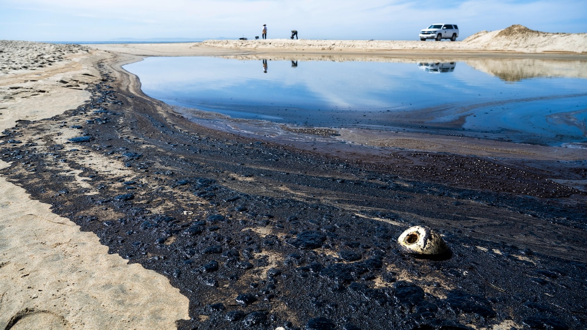 Why is California still drilling for oil despite its ambitious climate  goals? | National Geographic