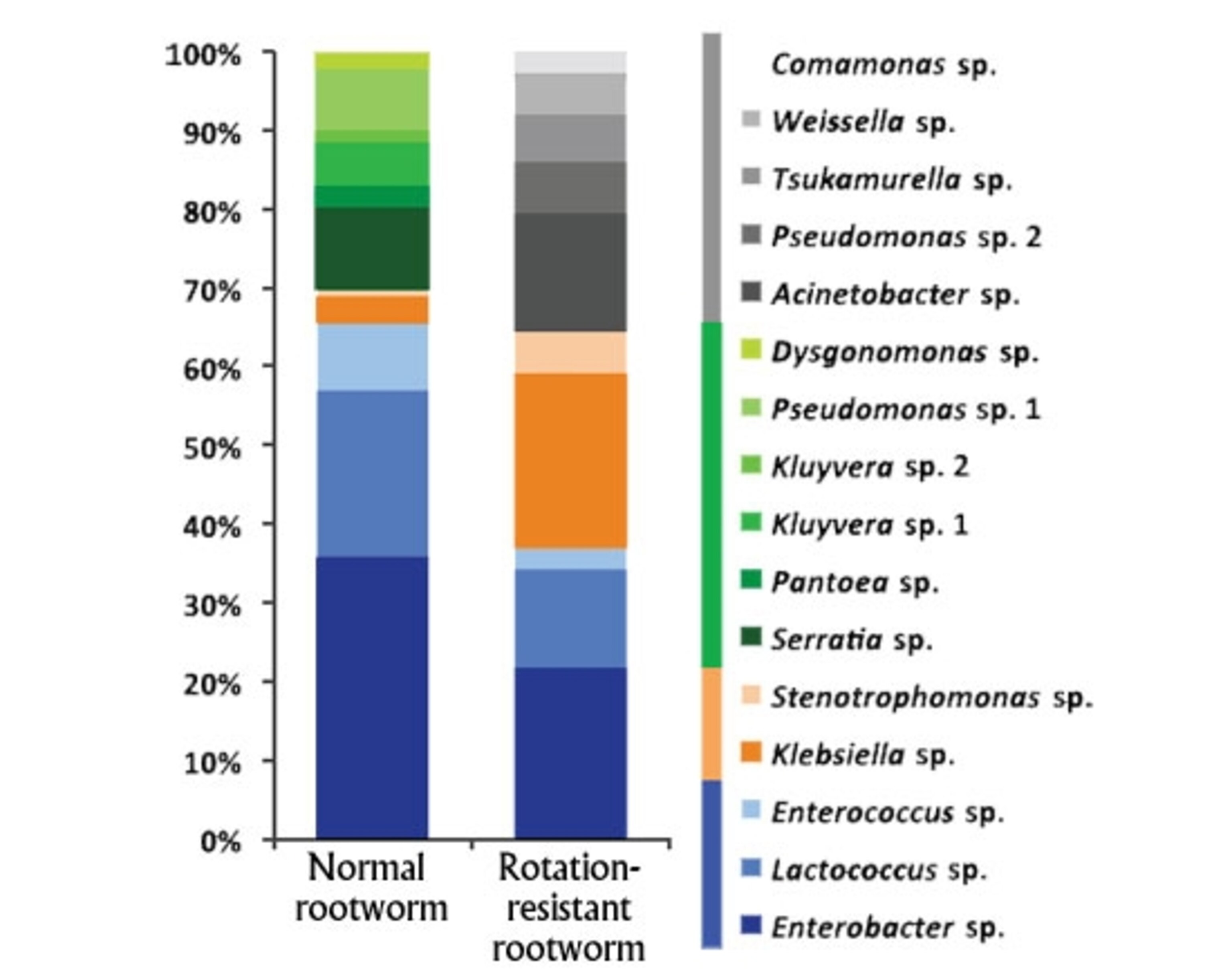 Gut bacteria in a normal and rotation-resistant western corn rootworm.