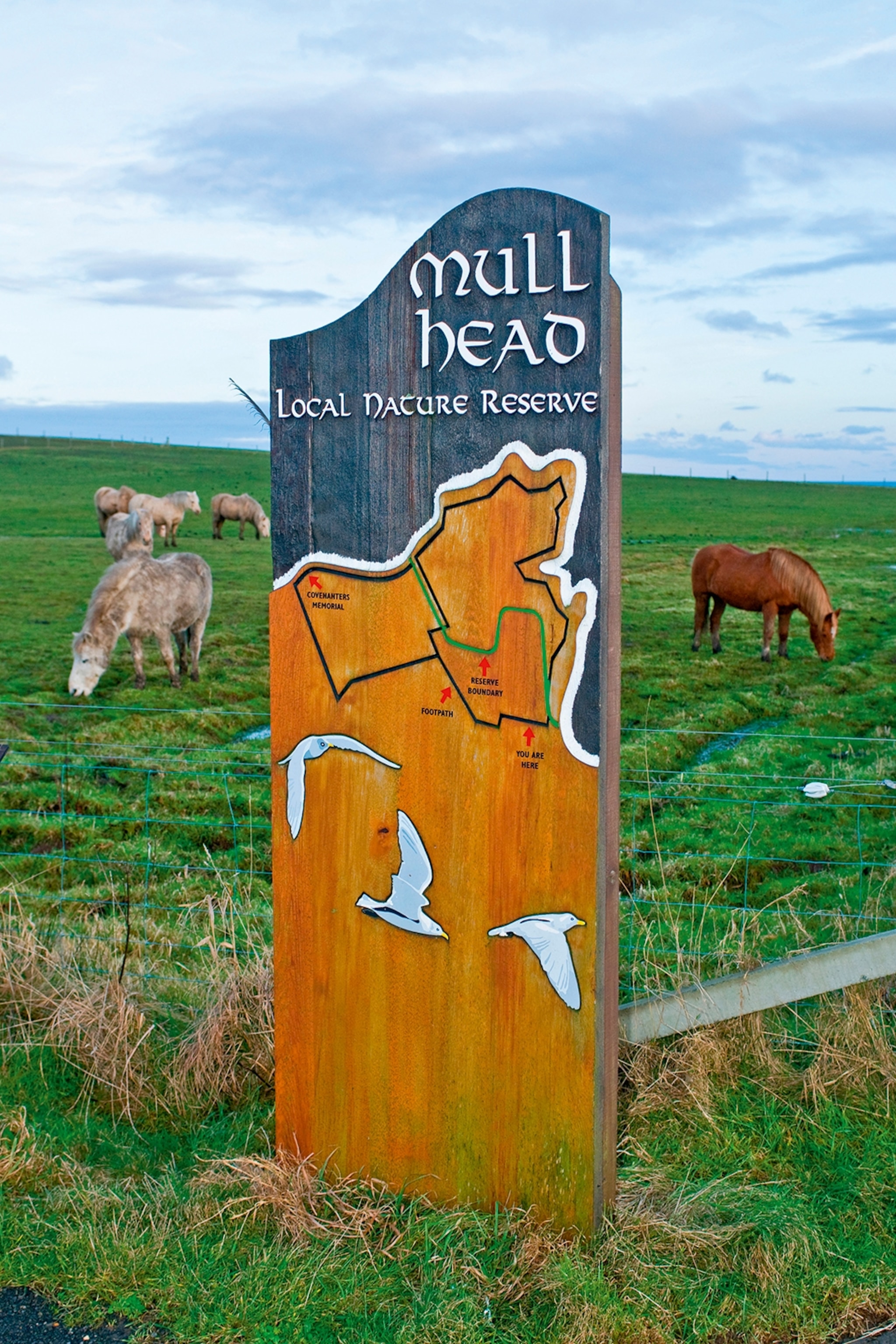 A wooden sign in the countryside with a field and grazing horses in the background.
