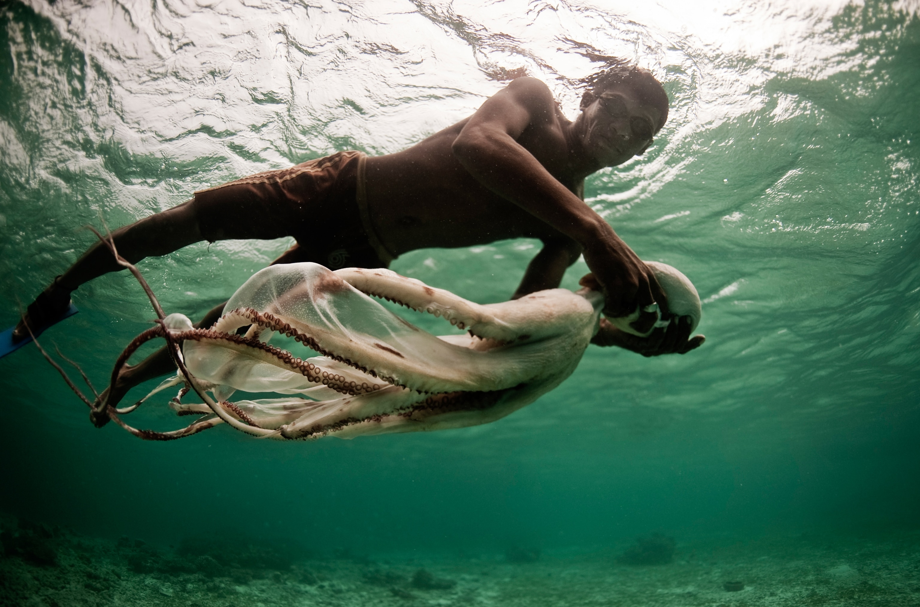 A man holding an octopus in his hand.