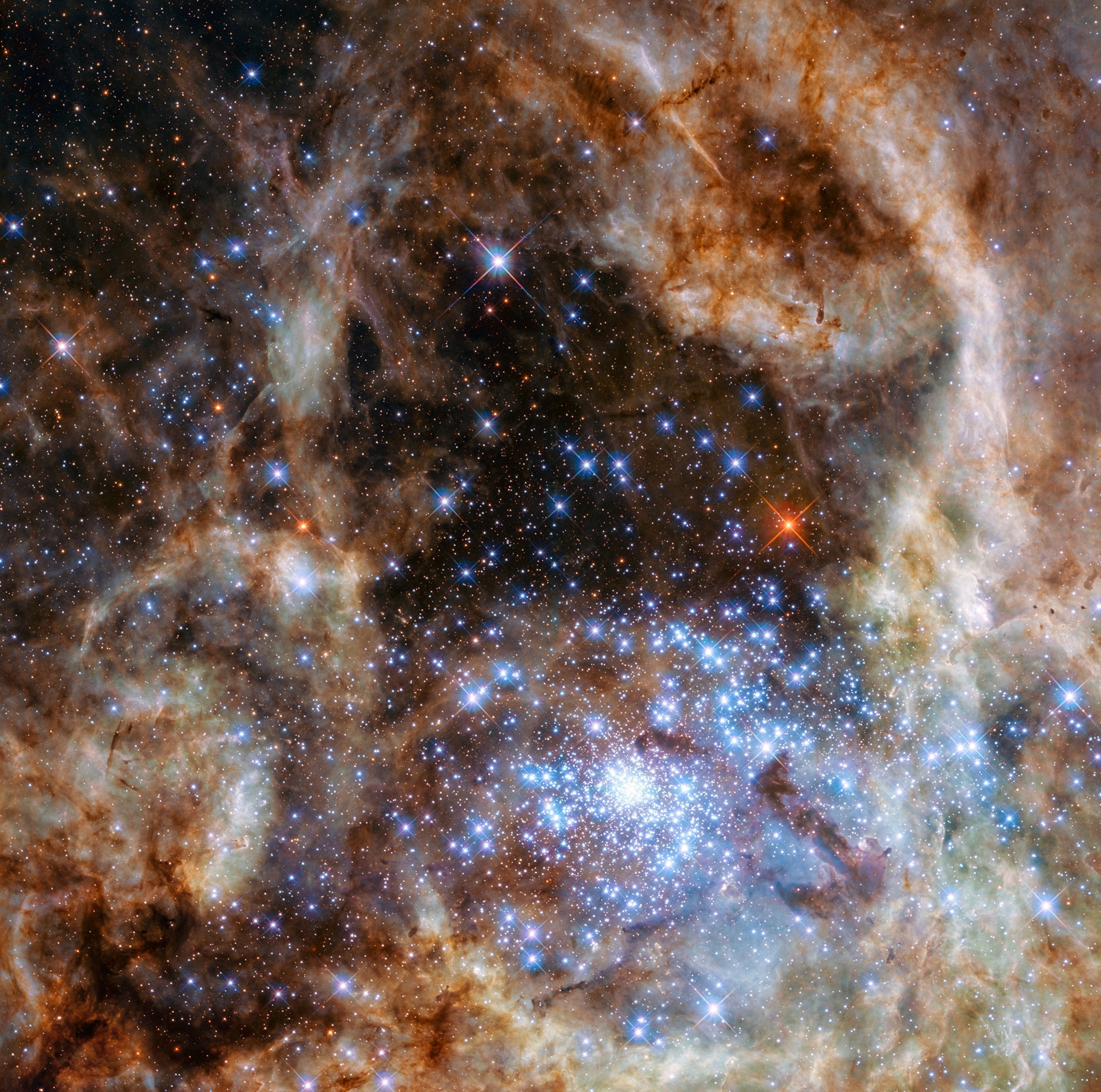 Tarantula Nebula in the Large Magellanic Cloud