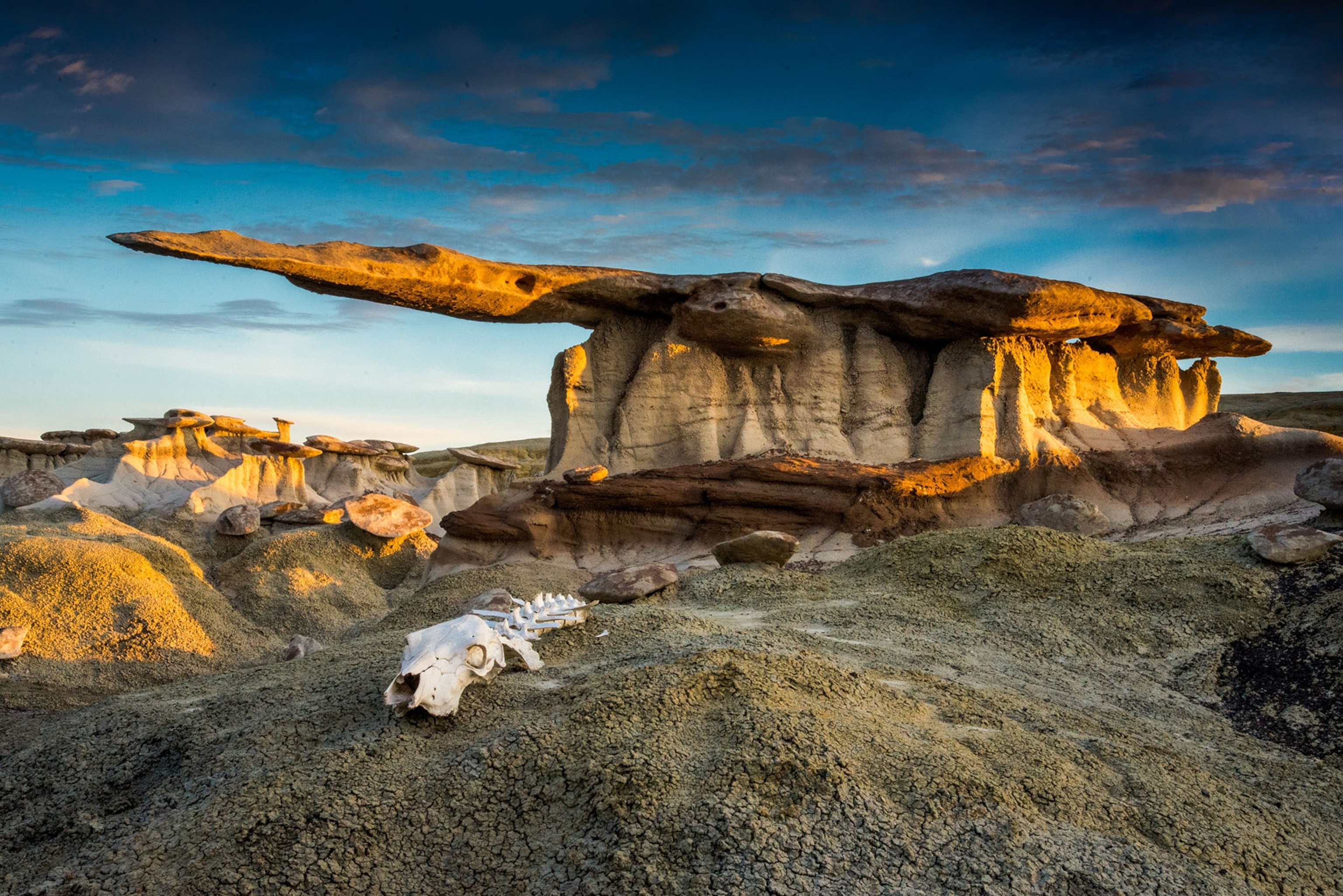 Ah-shi-sle-pah-Wilderness-Study-Area, New Mexico