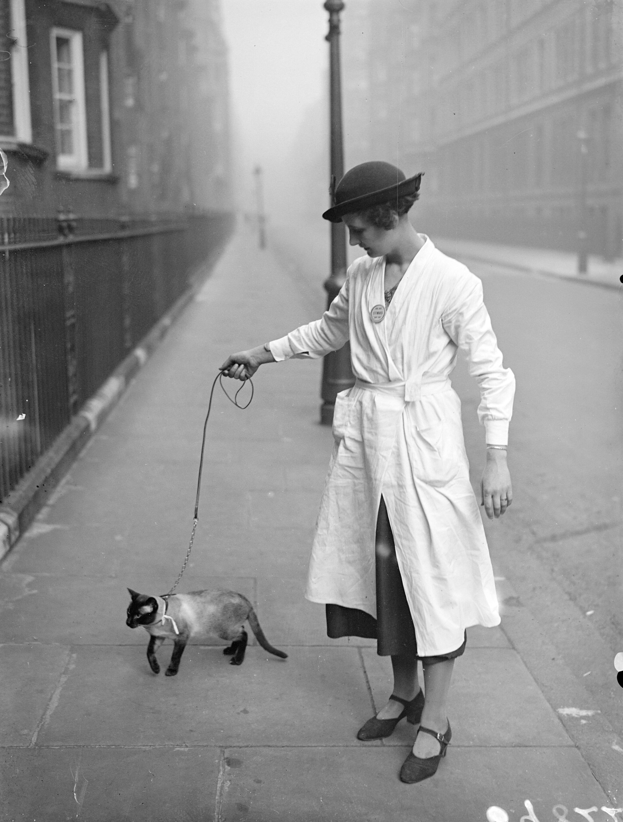 a black and white archival photo of a siamese cat on a leash