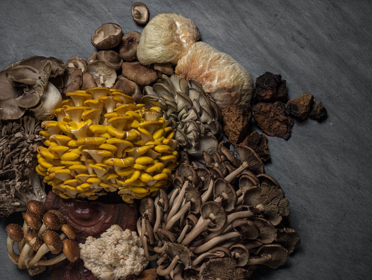 The Superfood Qualities of Mushrooms