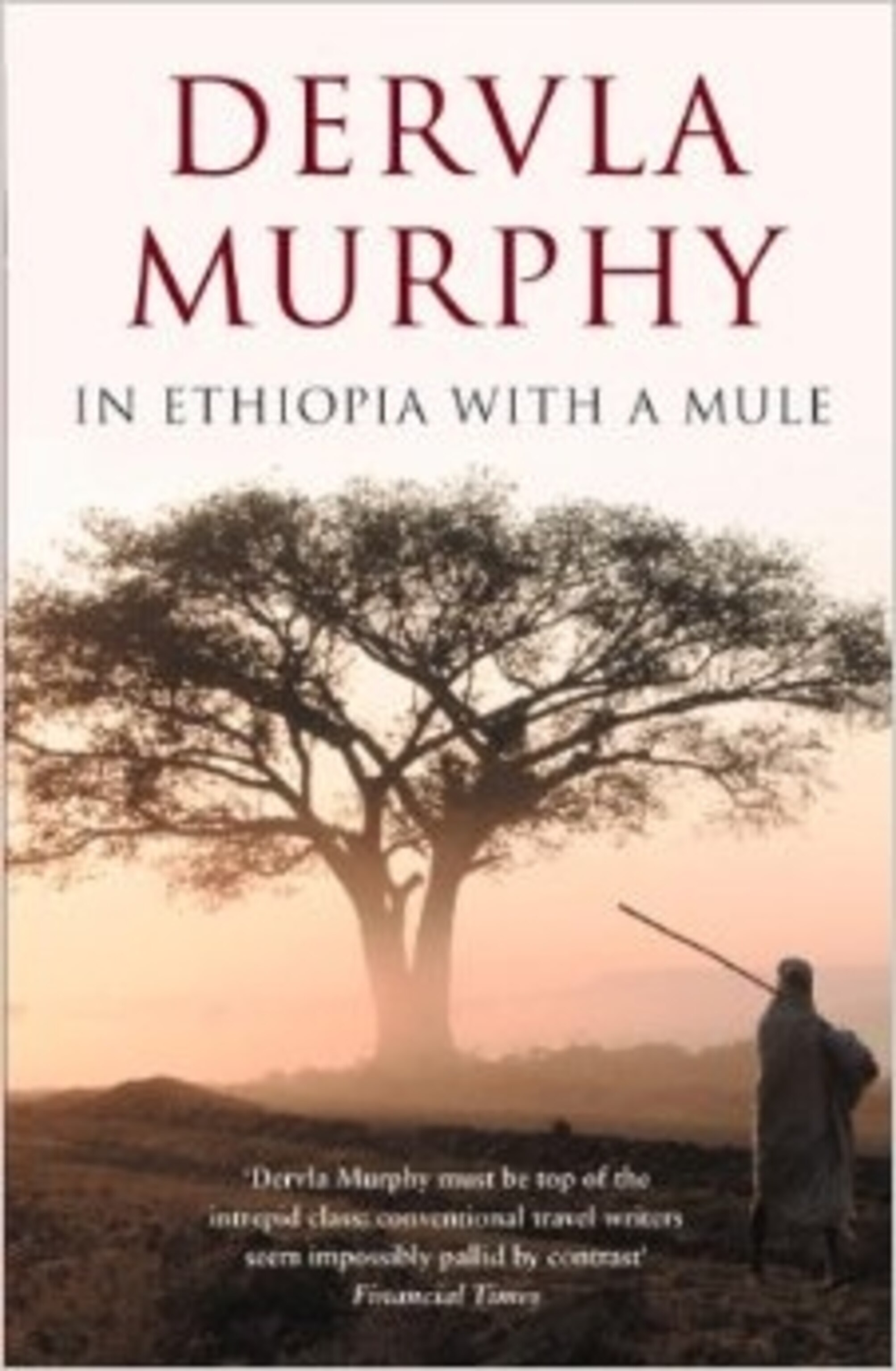 In Ethiopia With A Mule