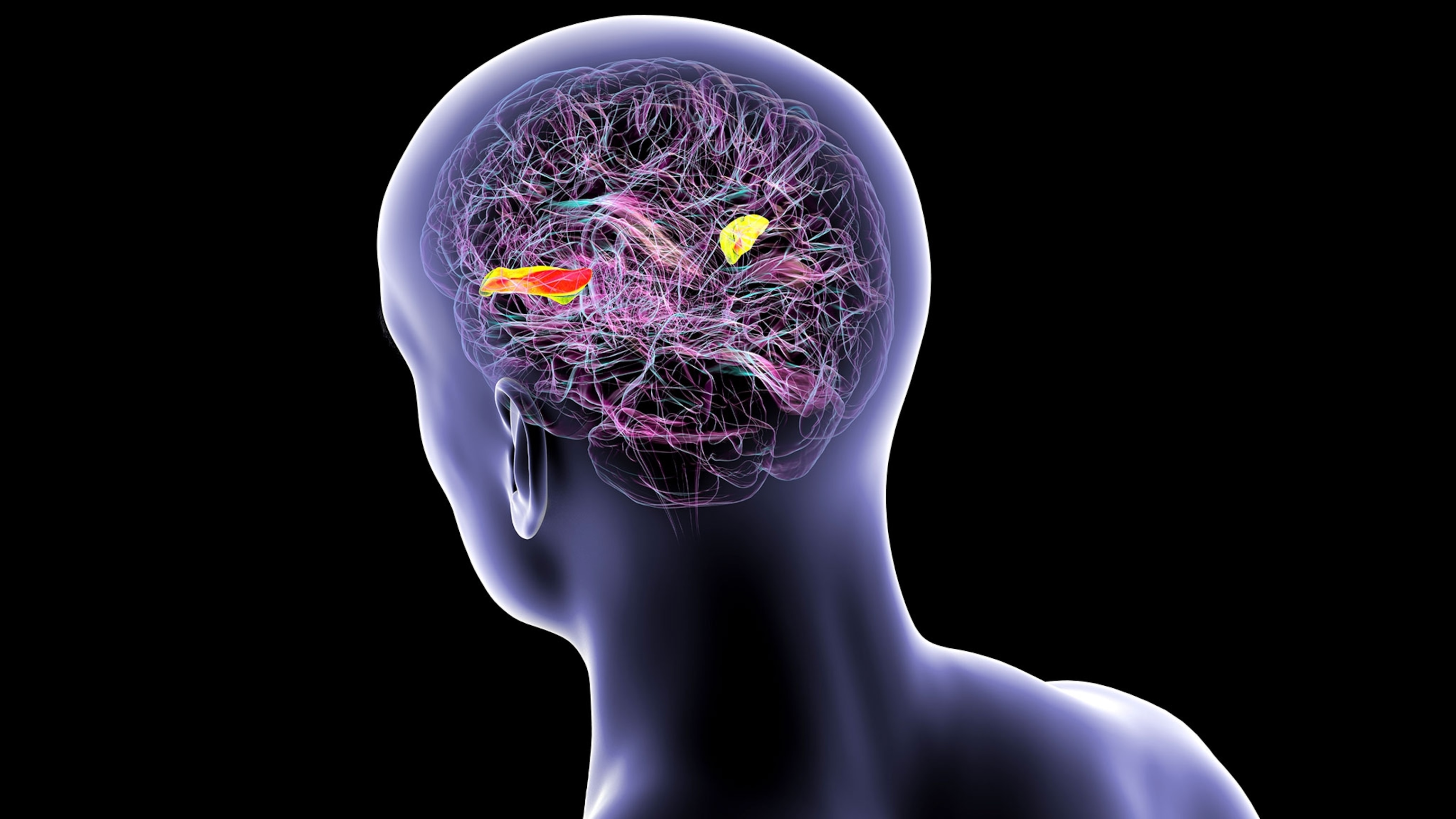Learning a second language can protect your brain. Here’s how.