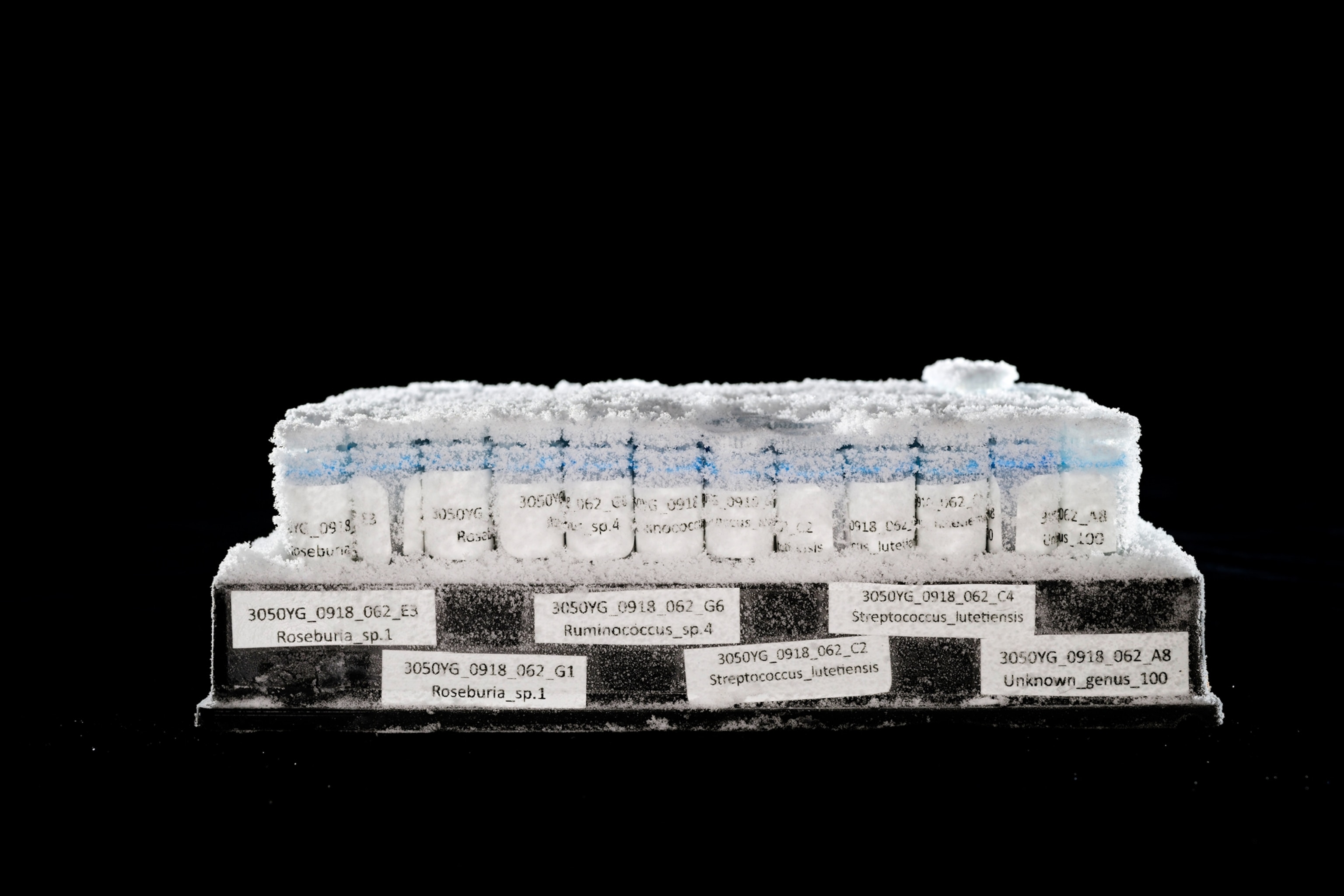 A collection of samples photographed on a black background.