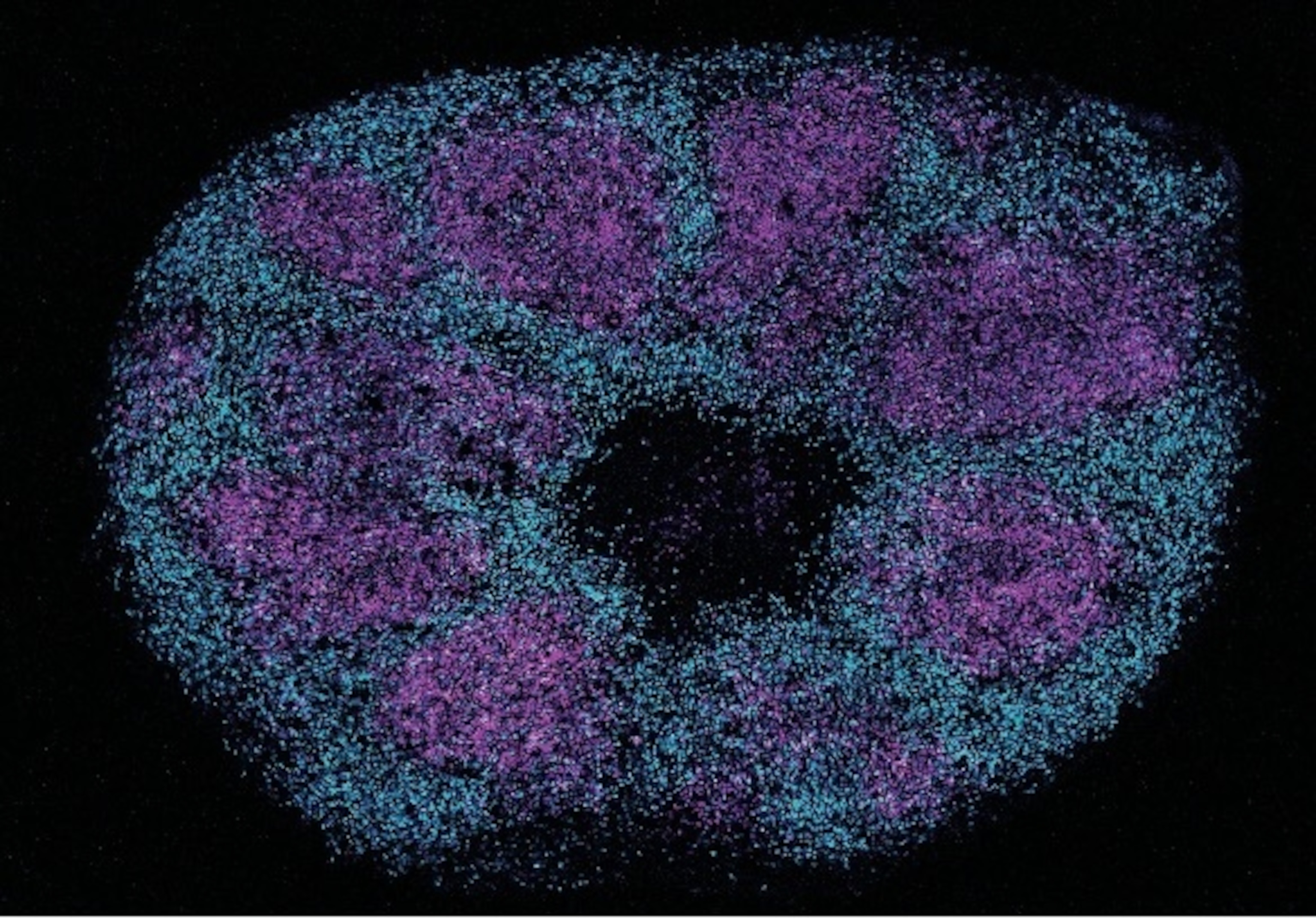 Blue and purple dots are shown against a black background