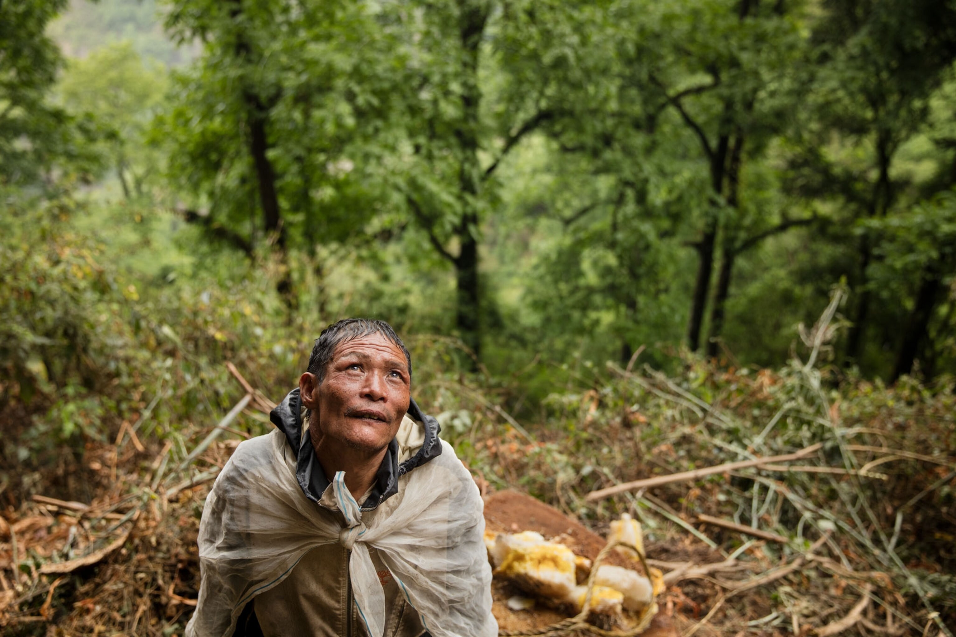This Honey Hunter of Nepal Climbs to Great Heights for These Bees