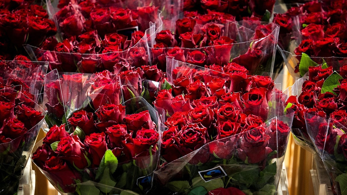 Inside the world's largest flower market