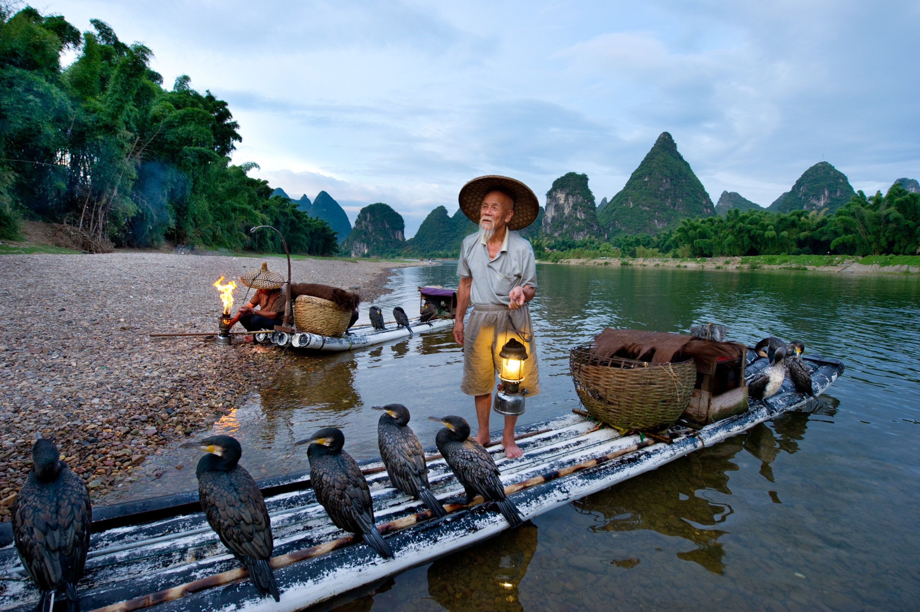 a fisherman at dawn with cormorants, Li River, Yangshuo, China