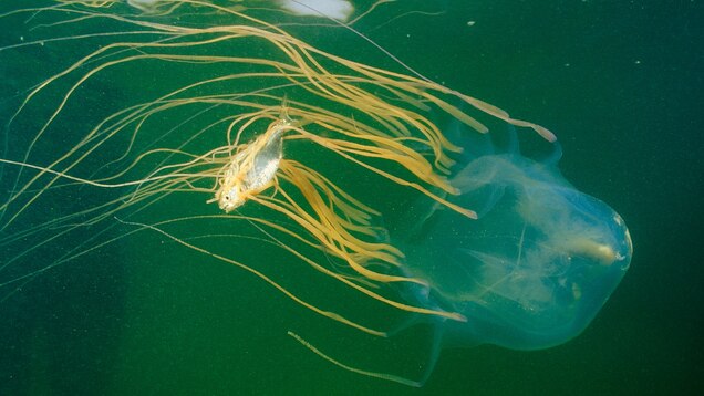 national geographic