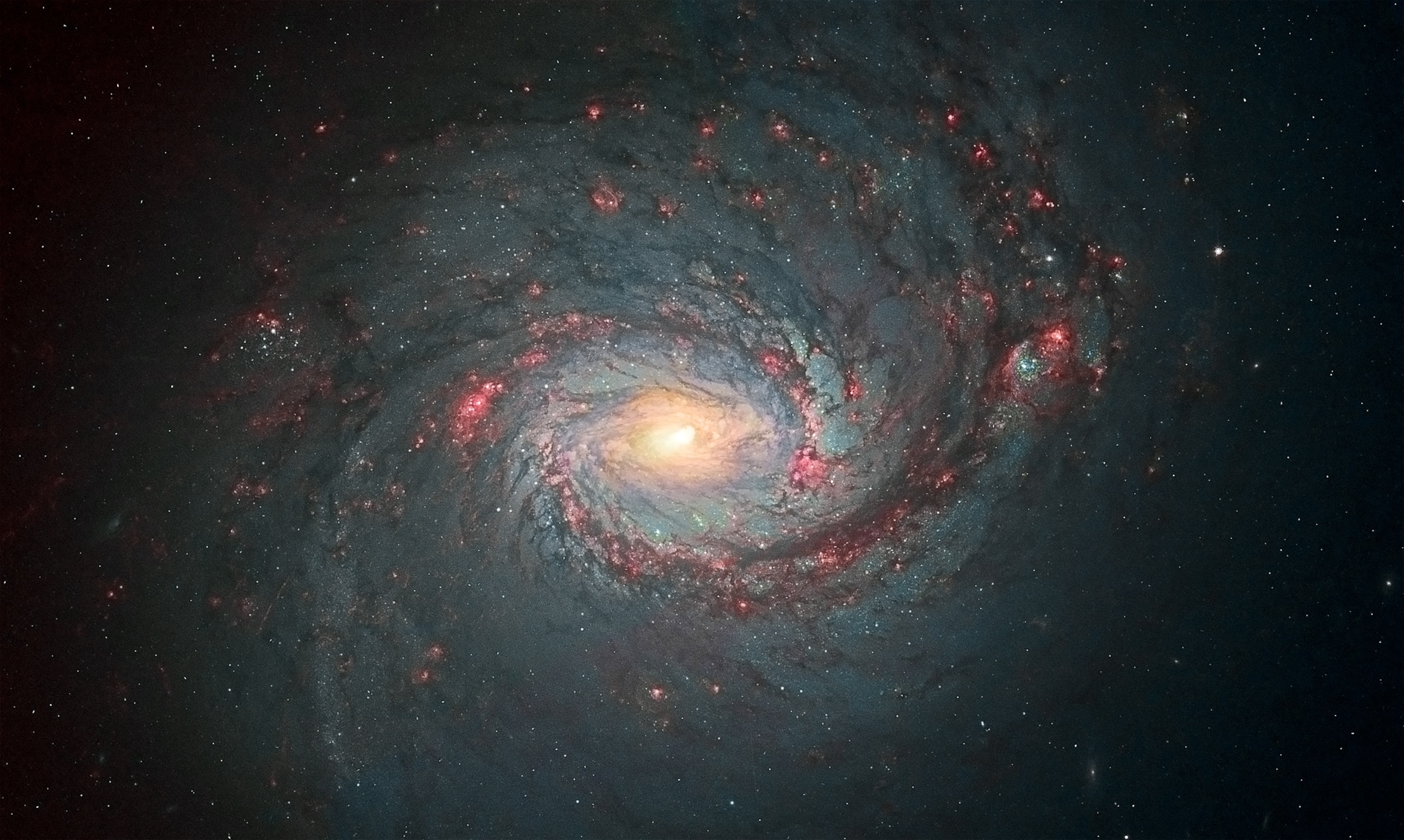 Galaxy Messier 77 picture - Hubble Hidden Treasures contest winner