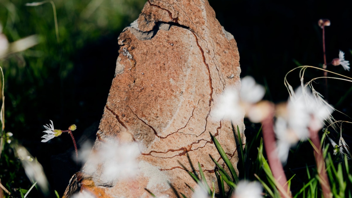 Wonder Lessons: Learn to identify sedimentary rocks | National Geographic