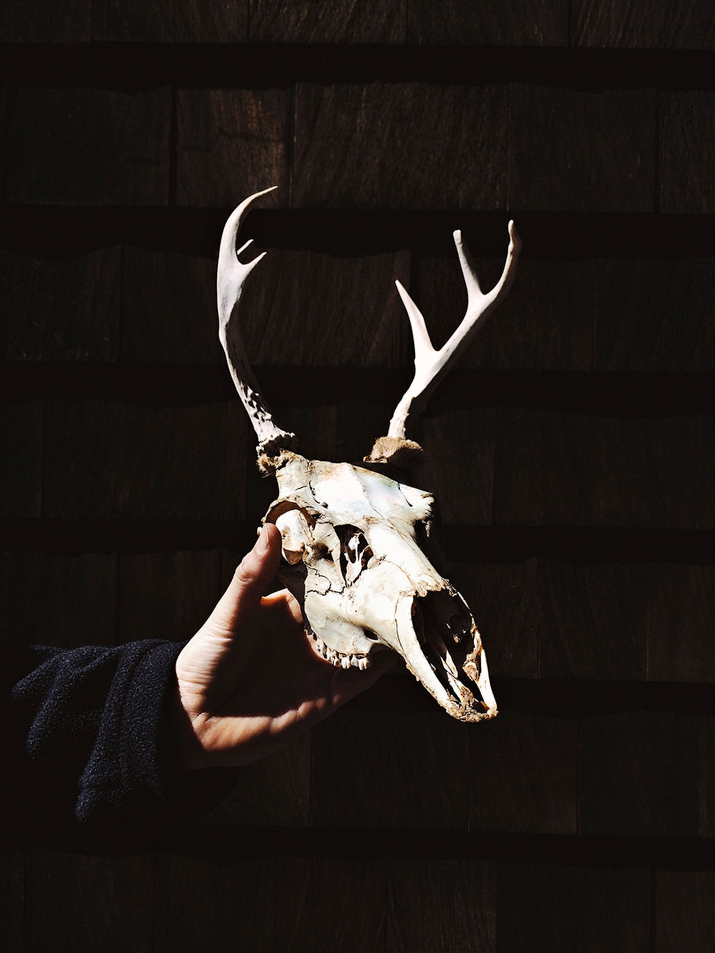 The Devil To Pay, 2013