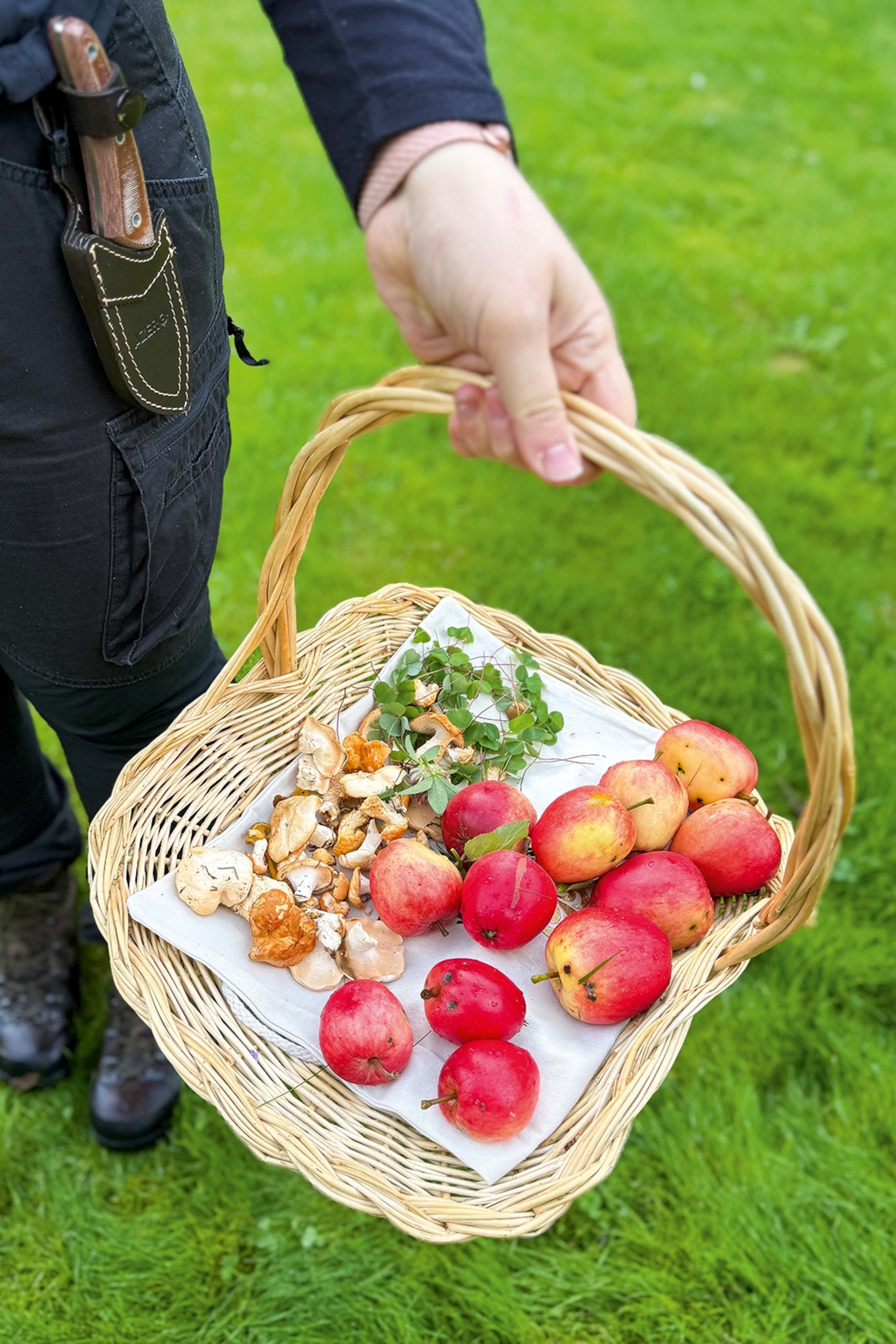 foraged mushrooms and locally grown apples in a basket