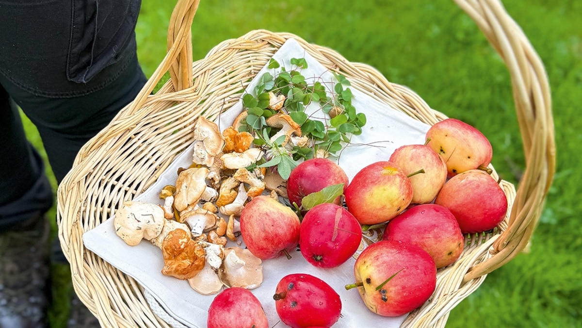 Why New Nordic cuisine thrives in this rural Norwegian region