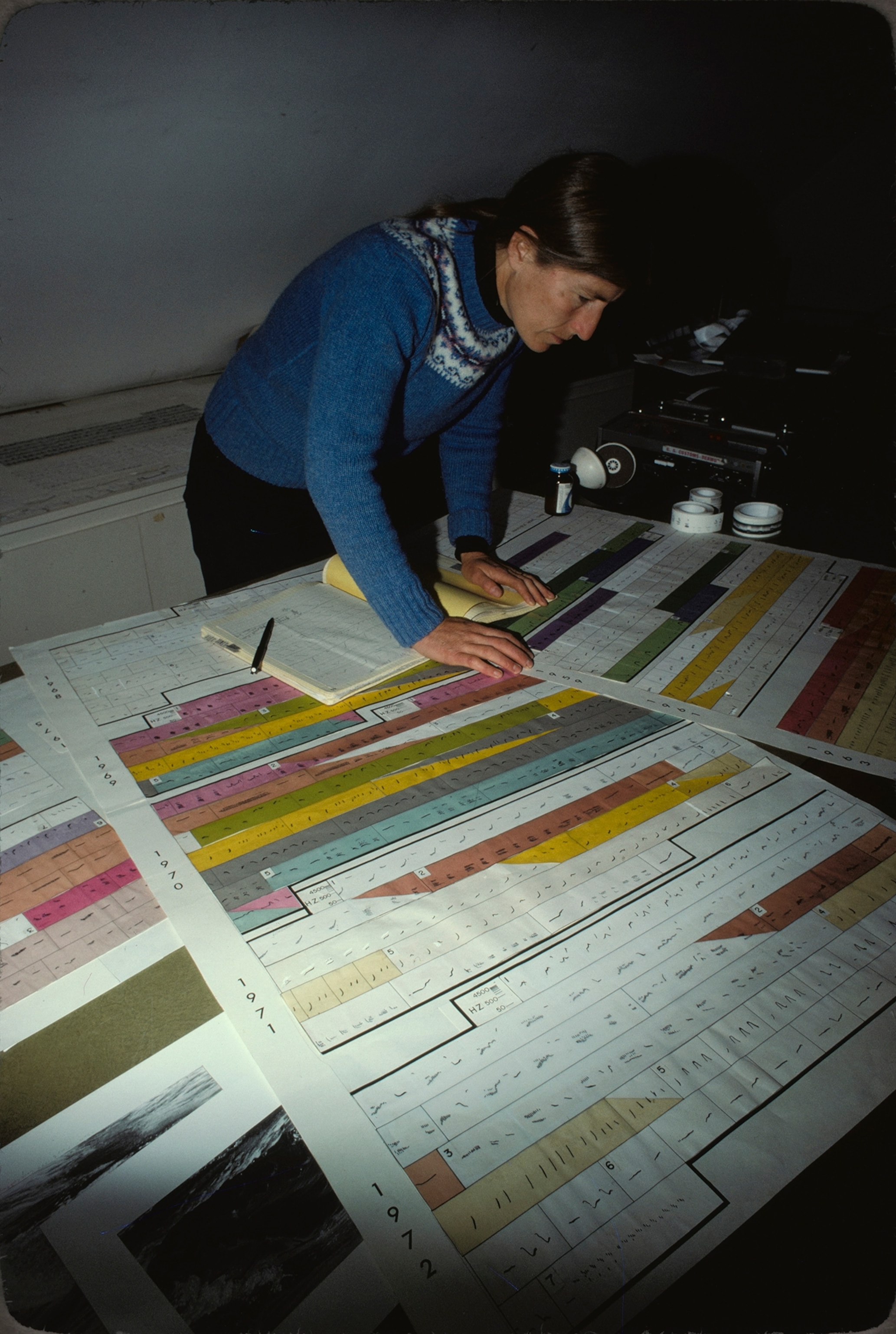Following humpback “scores” on charts called spectrograms, Katy Payne, the author’s wife, found that the whales compose new songs each year, improvising on their old ones—an indication of uncanny intelligence.