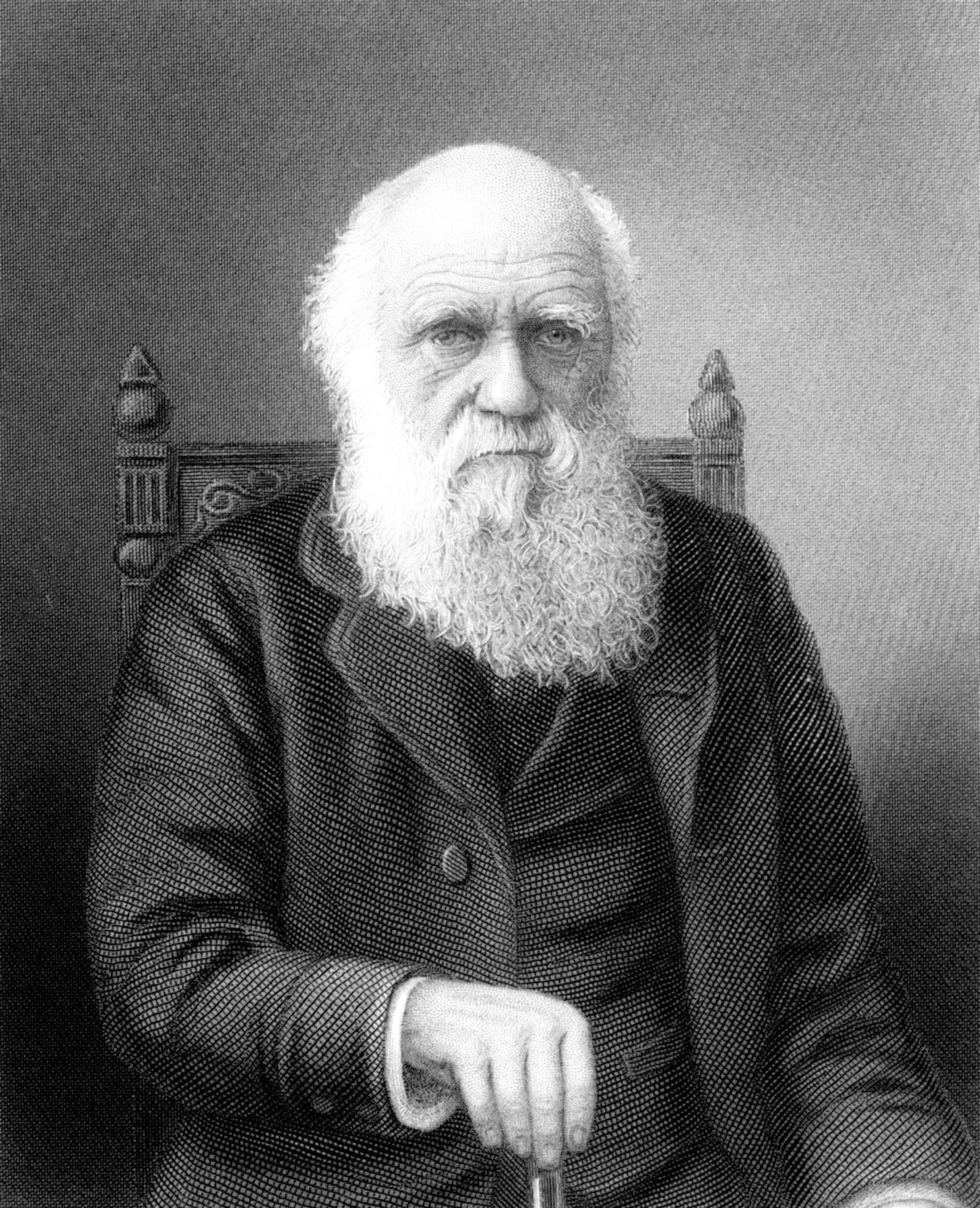 Дарвин кинтеро. Дарвин хартс гаруда. Дарвин хартс гаруда. Кроуфорд старик ассасин. Дарвин хартс гаруда.