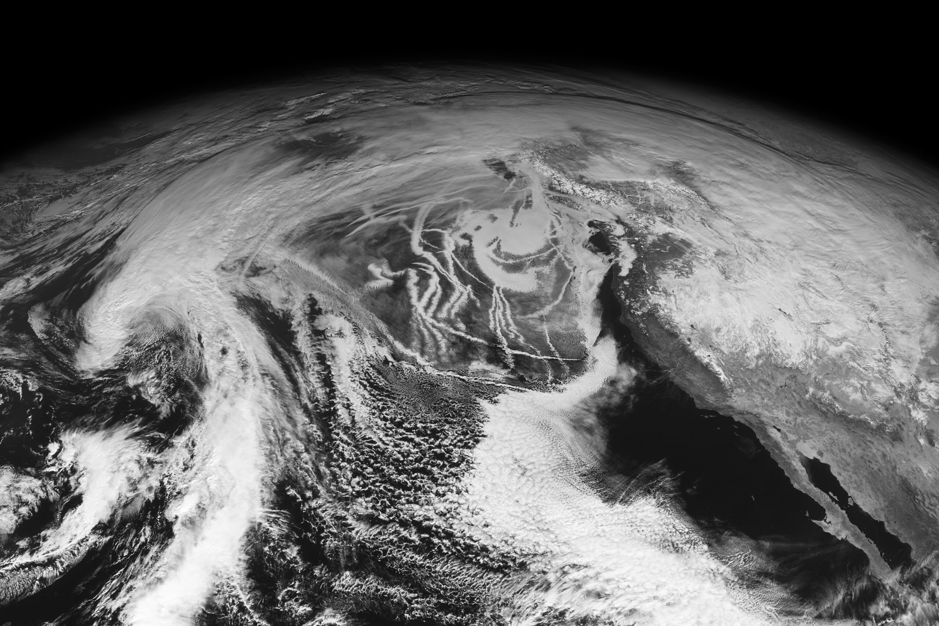 ship tracks in the eastern Pacific Ocean off the west coast of the U.S. and Canada