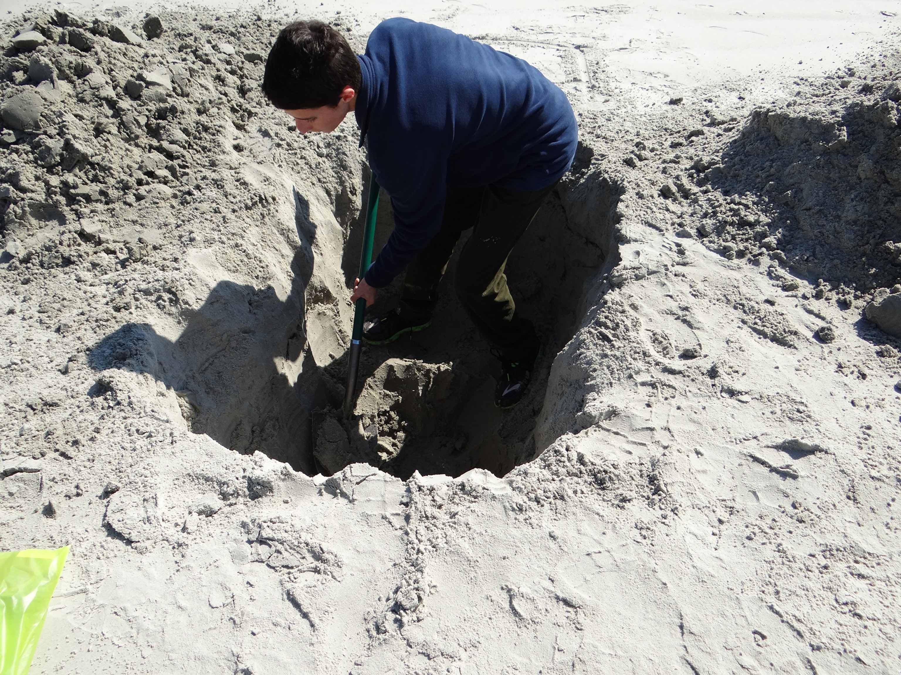 Novek digging in sand at beach