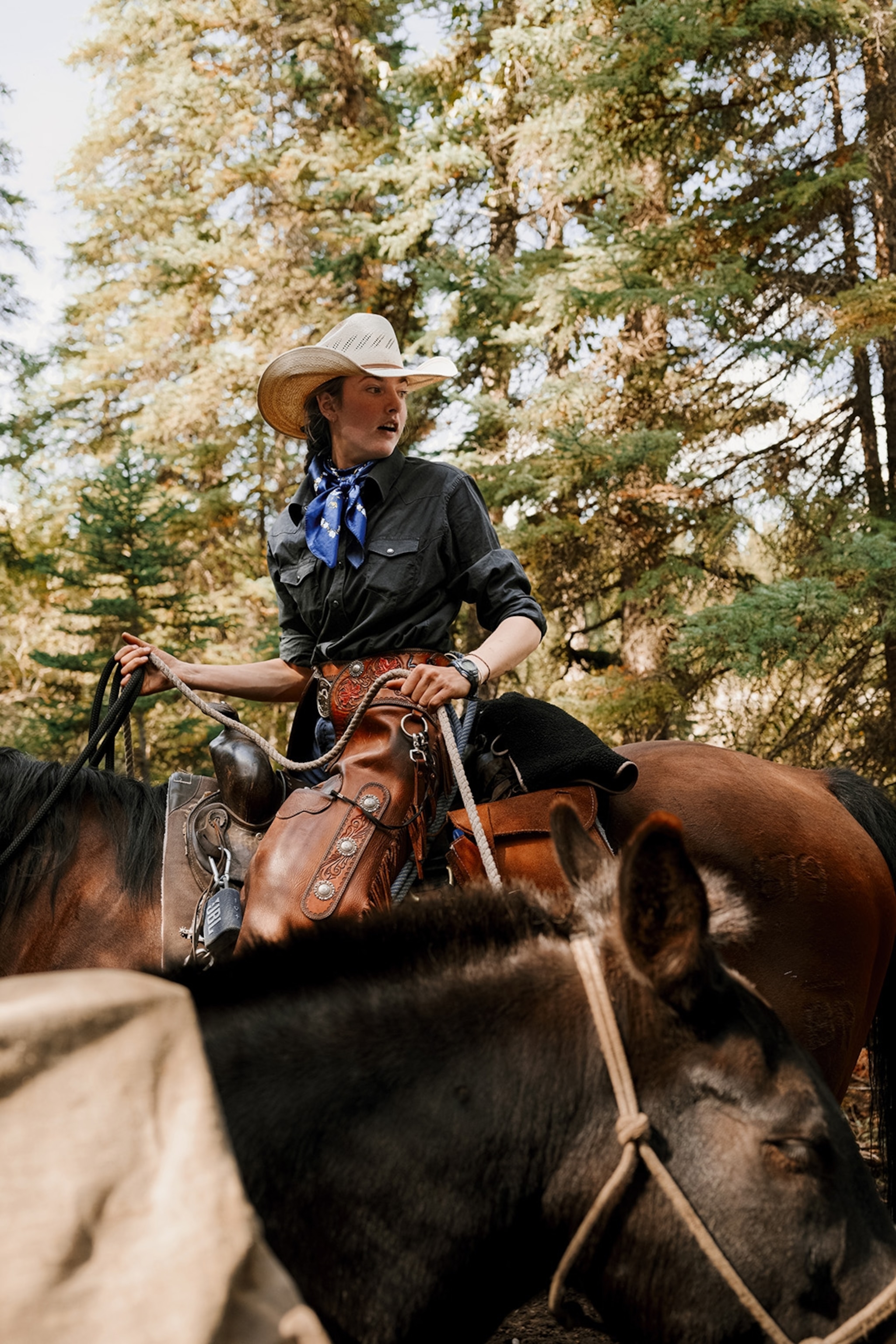 Trace the backcountry trails of Banff National Park on horseback | National  Geographic