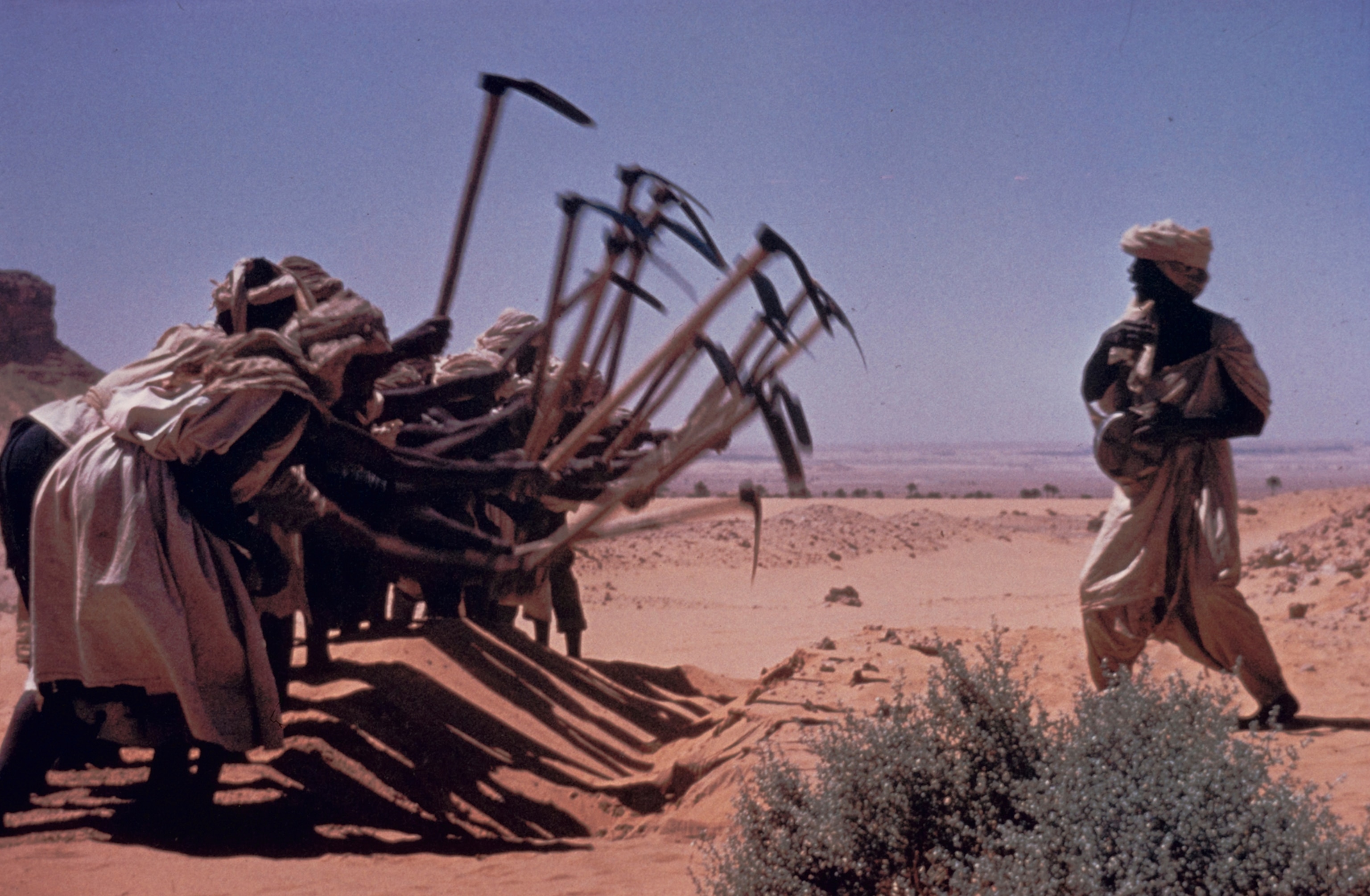 A crew digs an irrigation ditch in the Sahara