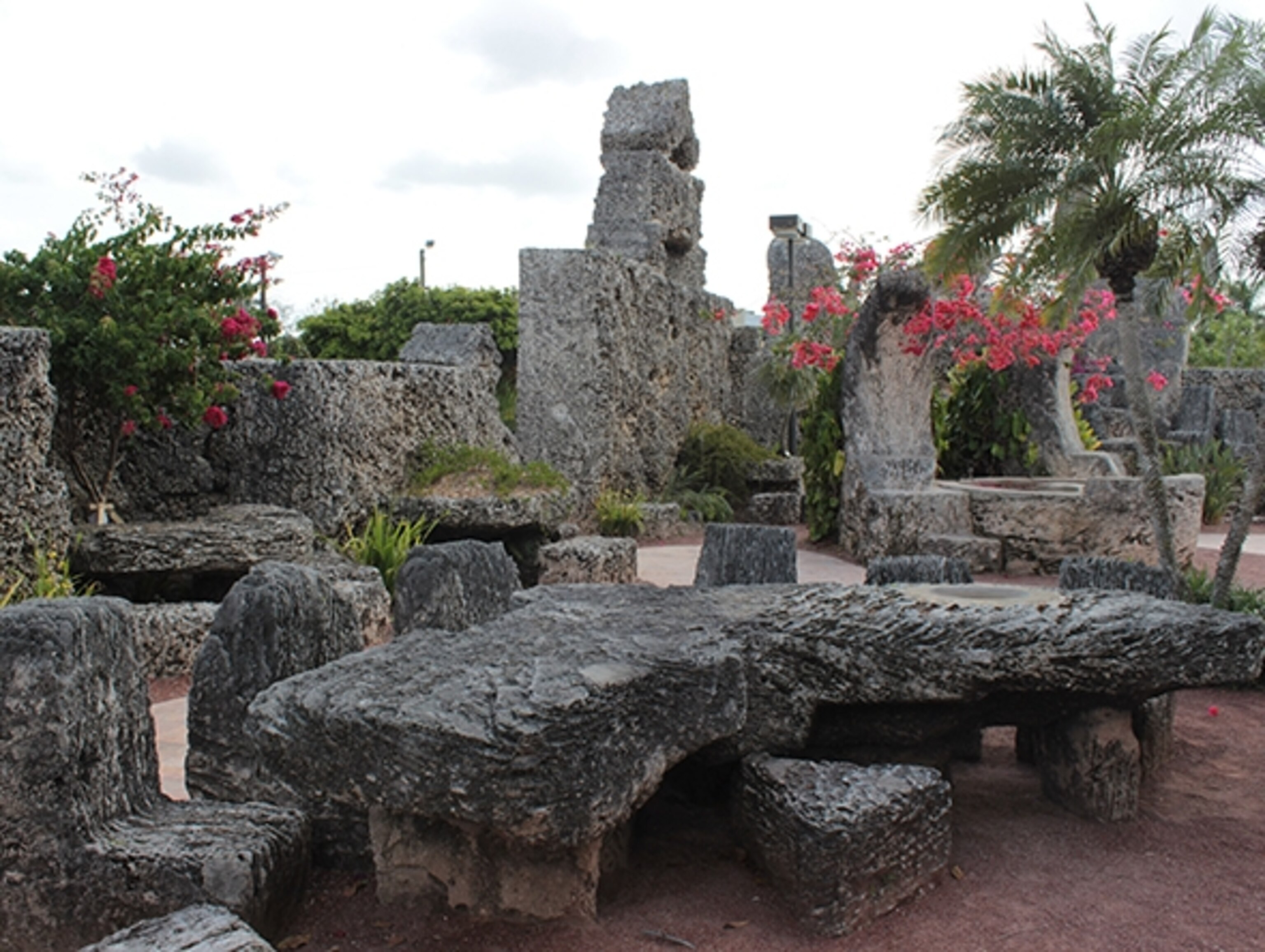 (Photograph by Annie Fitzsimmons)