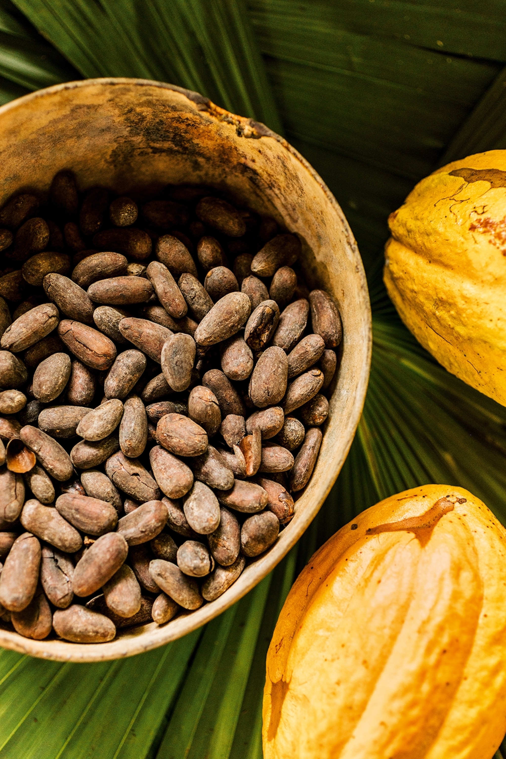 A bowl of cocoa beans in a shell on a banana leaf.