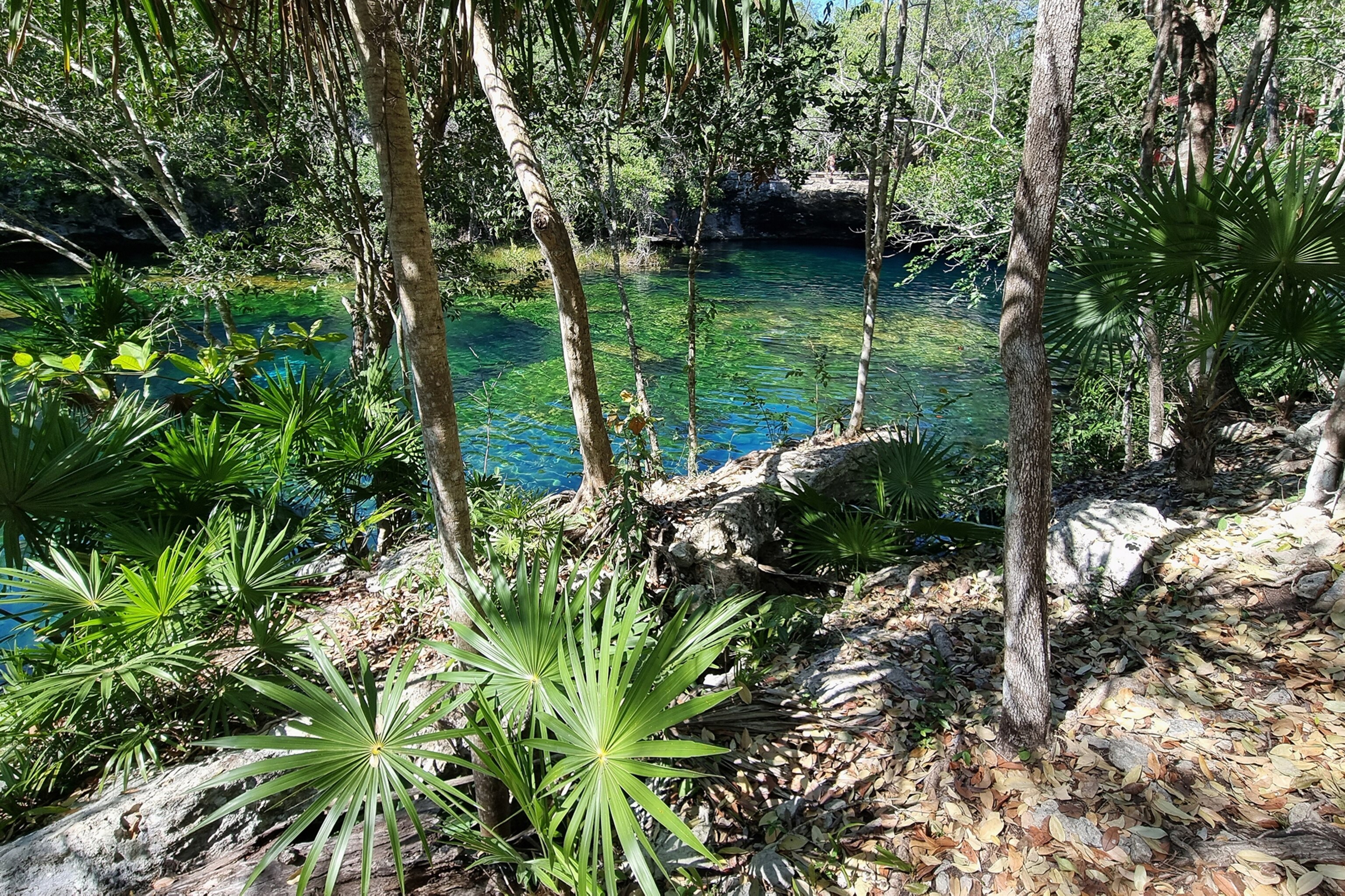 Cenote Jardín del Edén