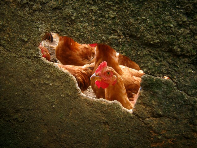 national geographic