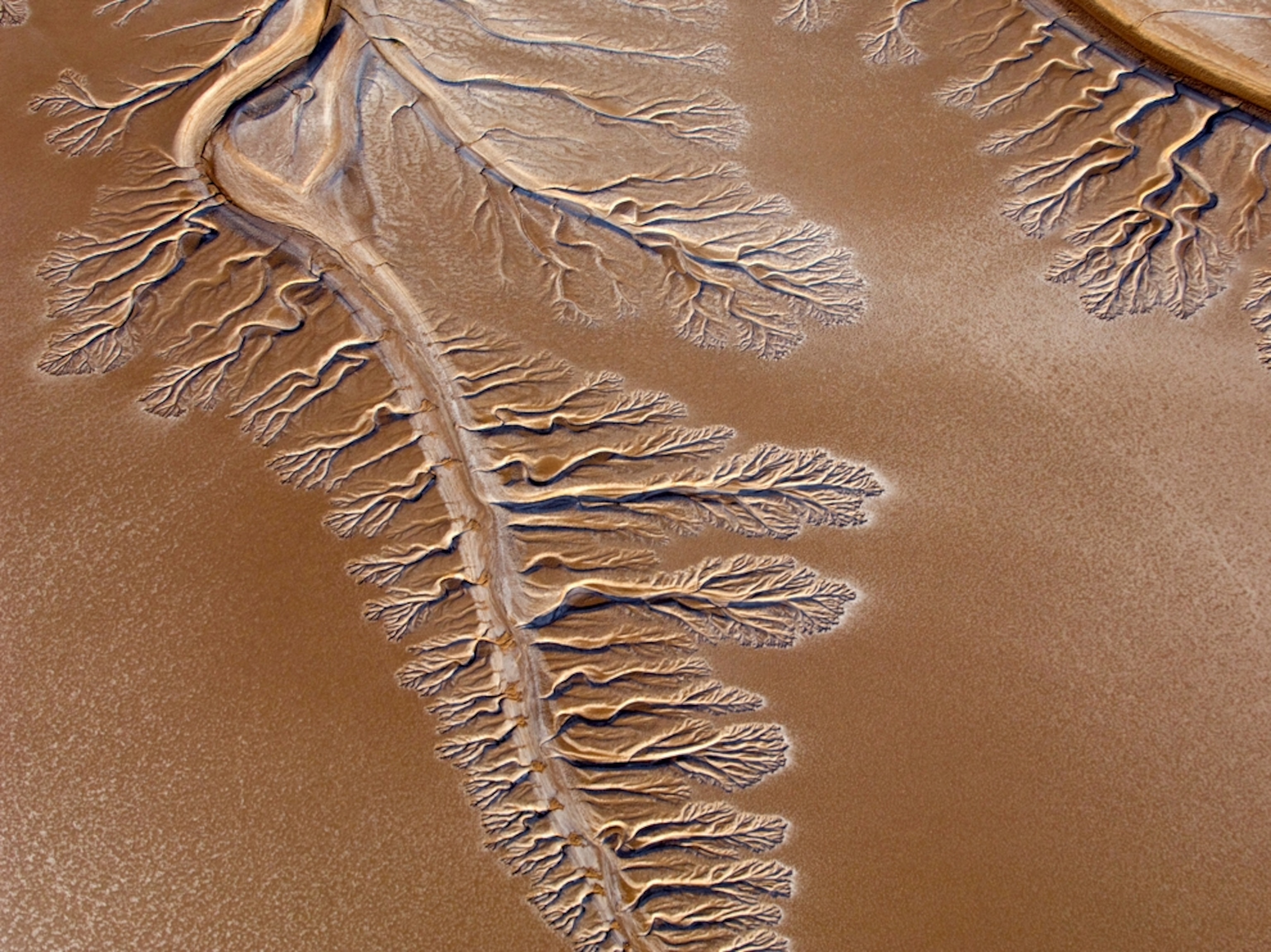 The dry riverbed of the Colorado River