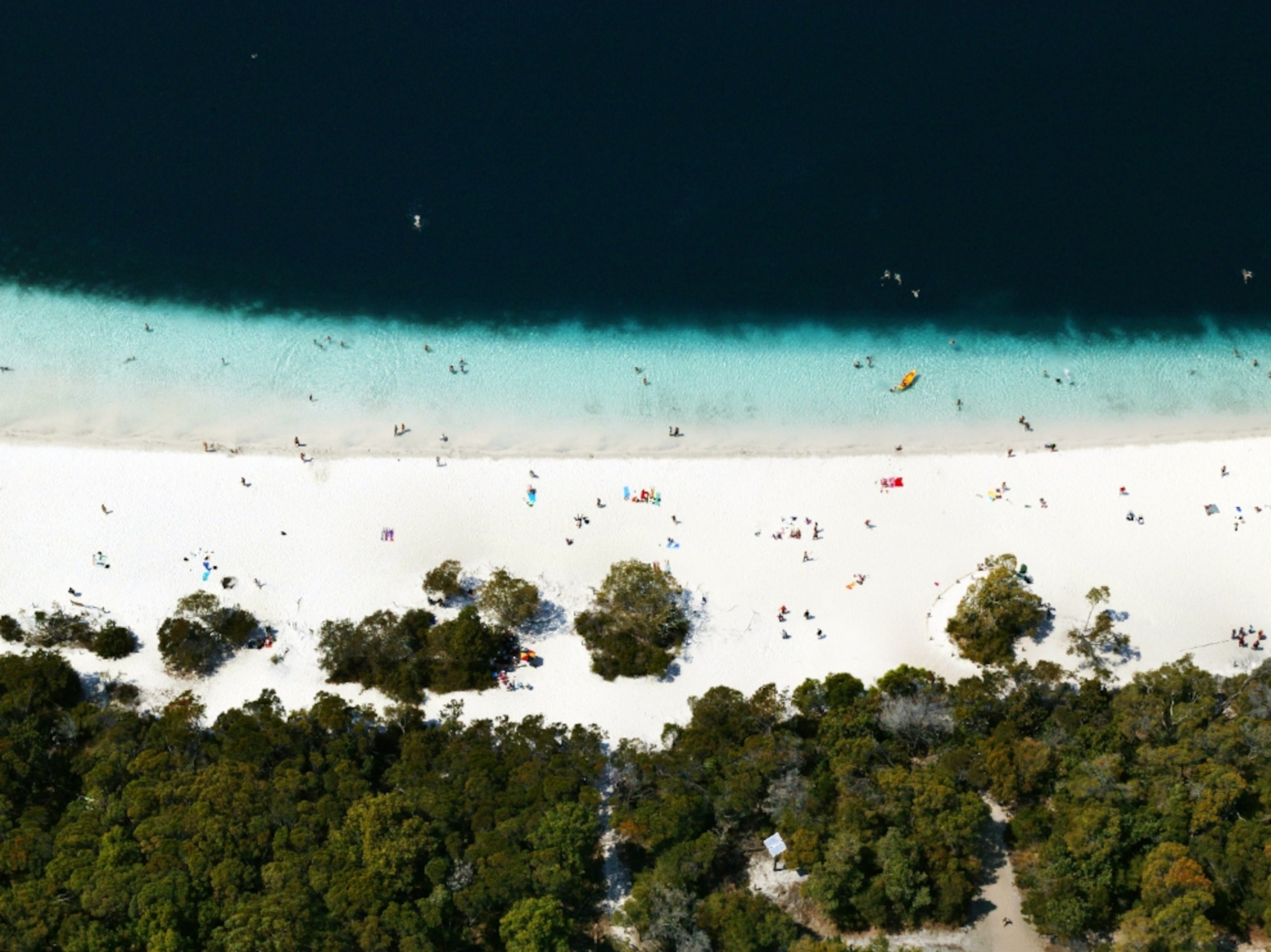 Aerial picture of sunbathers at Lake Mckenzie, Fraser Island, Australia