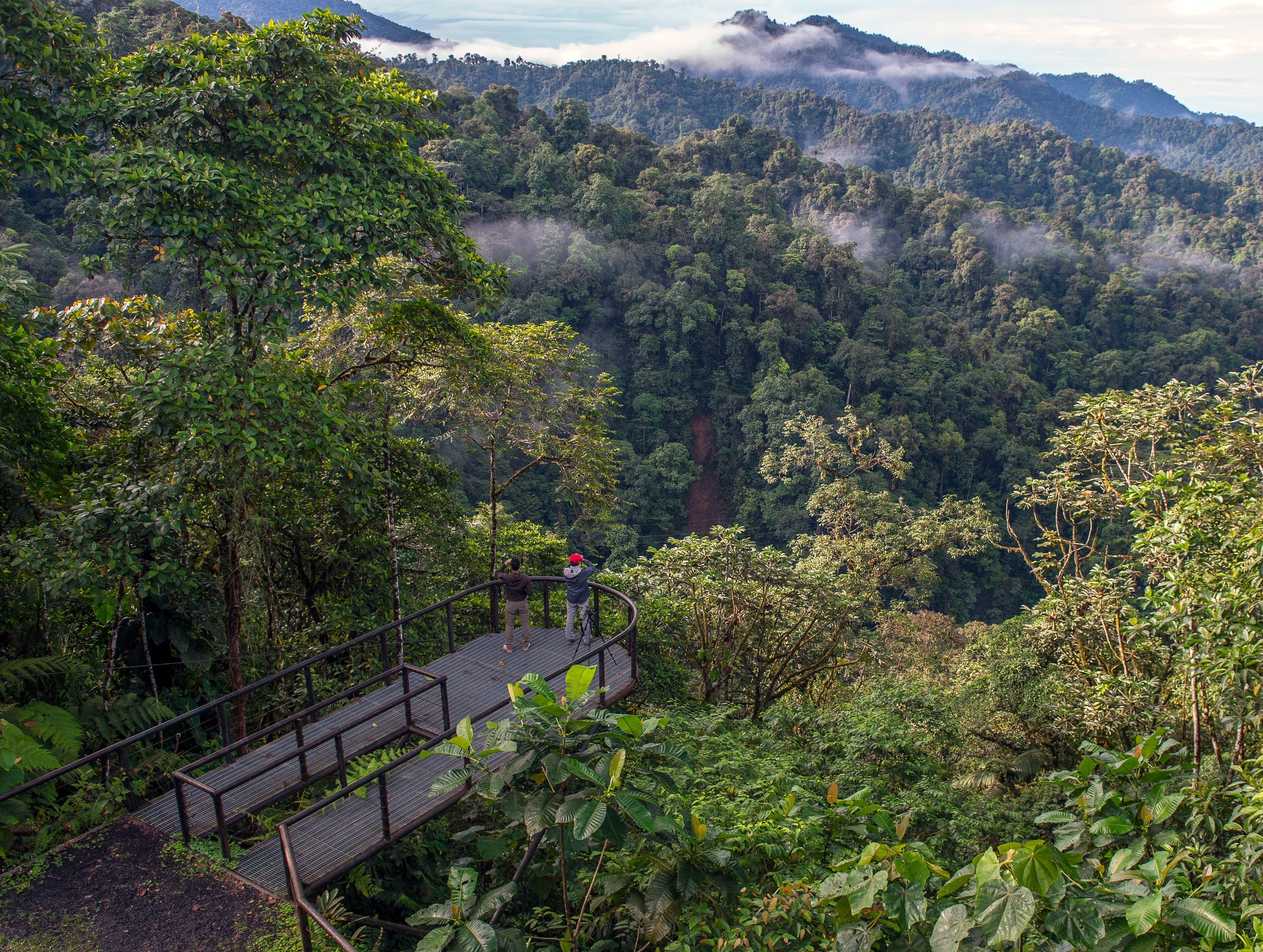 visitors looking over the cloud forest from Mashpi Lodge, Ecuador