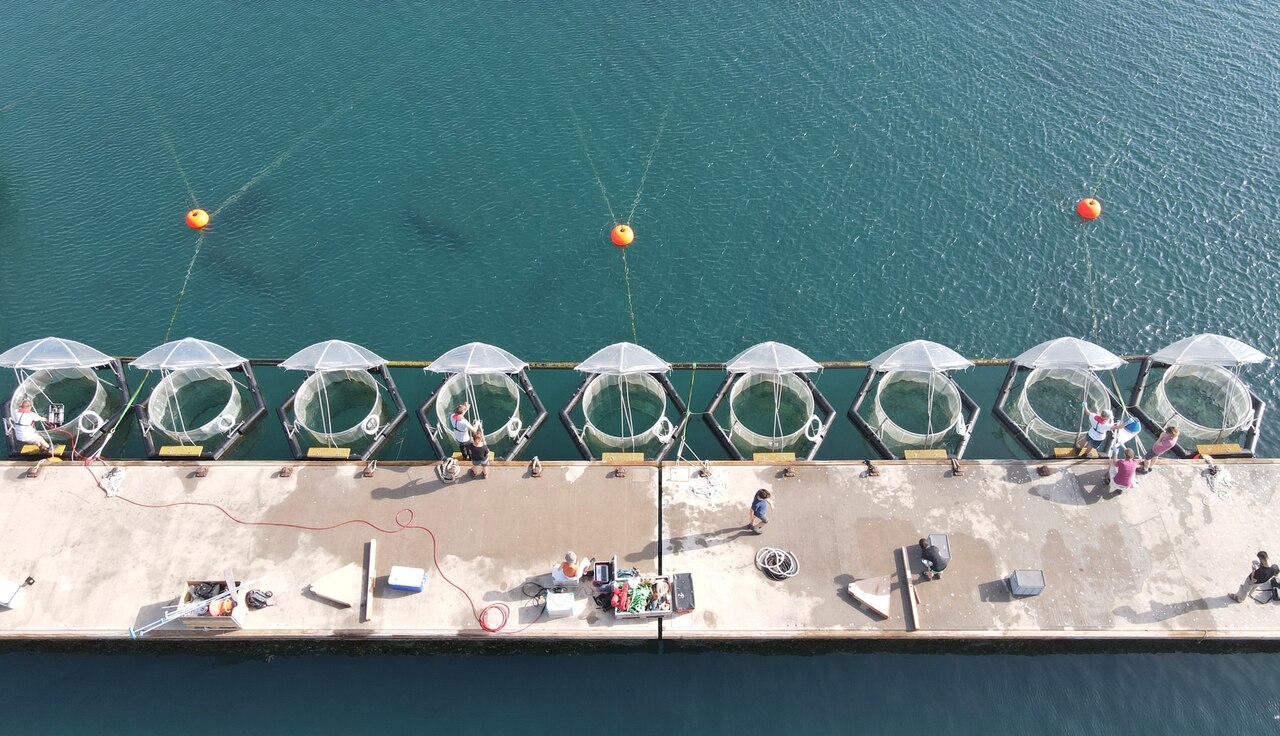 Could crushed rocks absorb enough carbon to curb global warming? 3