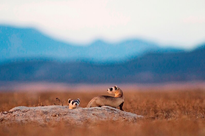 This photo was submitted to Your Shot, our photo community on Instagram. Follow us on Instagram at @natgeoyourshot or visit us at natgeo.com/yourshot for the latest submissions and news about the community.