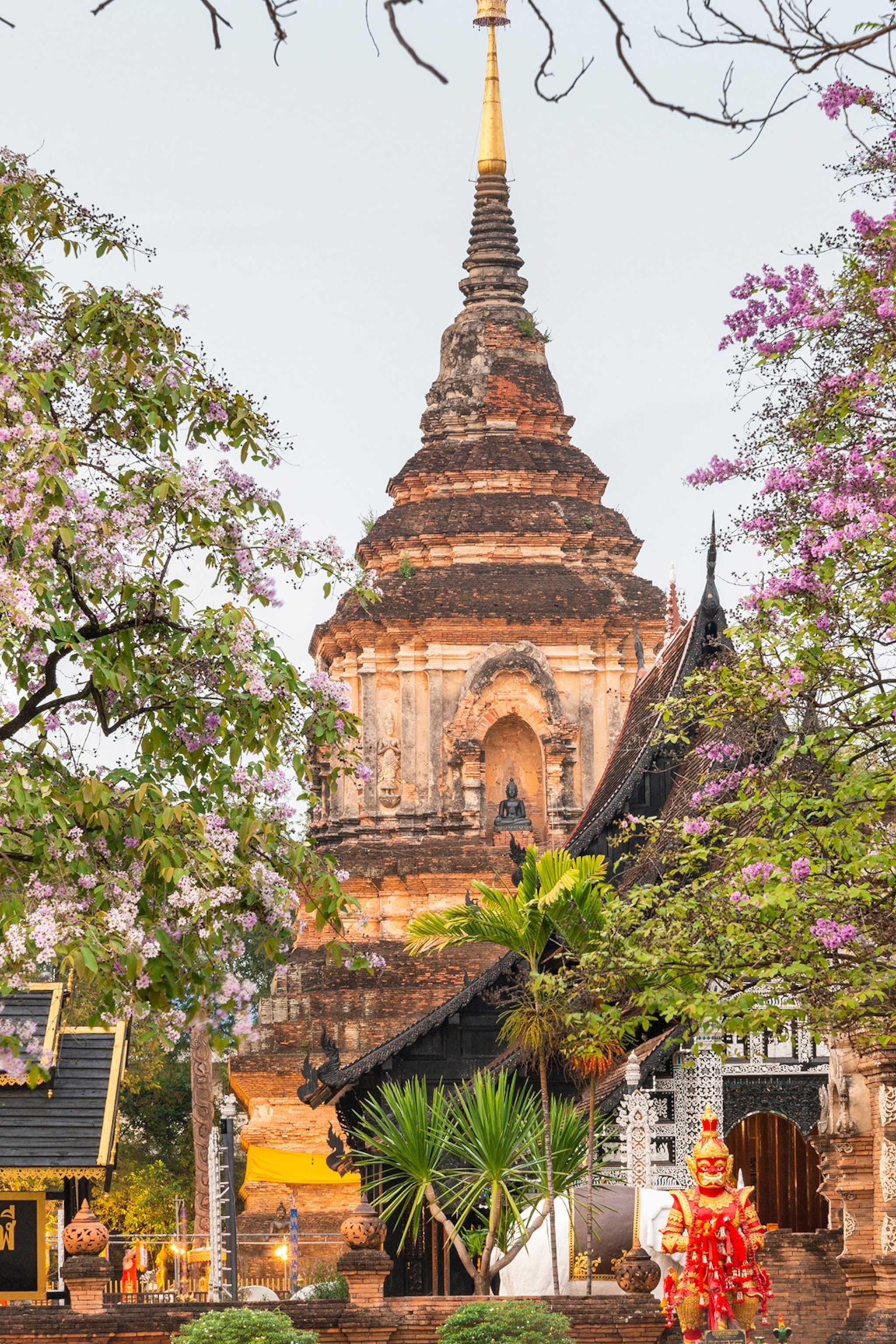 The tiered tower of a Buddhist temple shot through cherry blossom and palm trees.