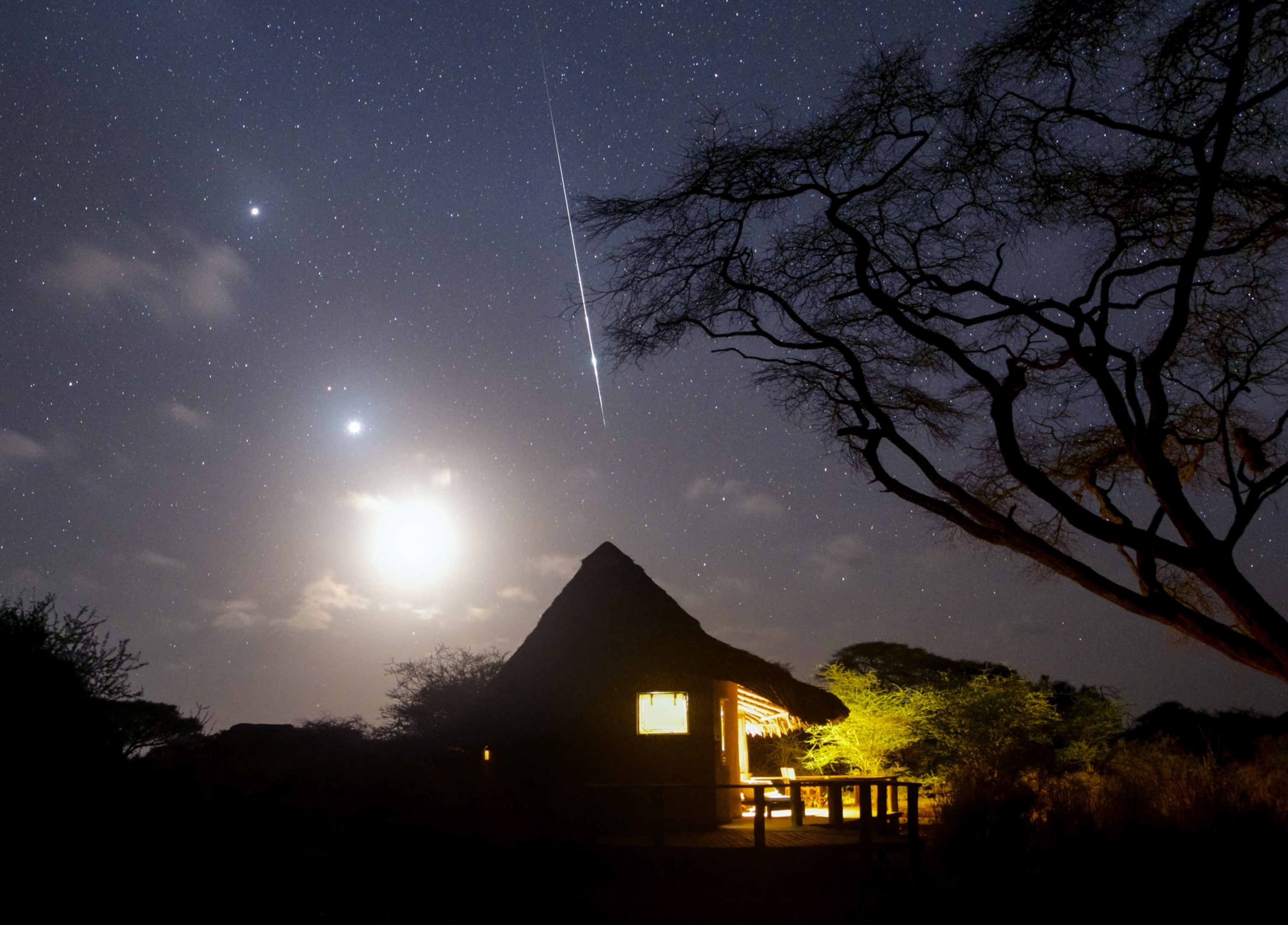 A fireball of Taurid Meteor Shower with an Acacia tree in a camp near Amboseli National Park.