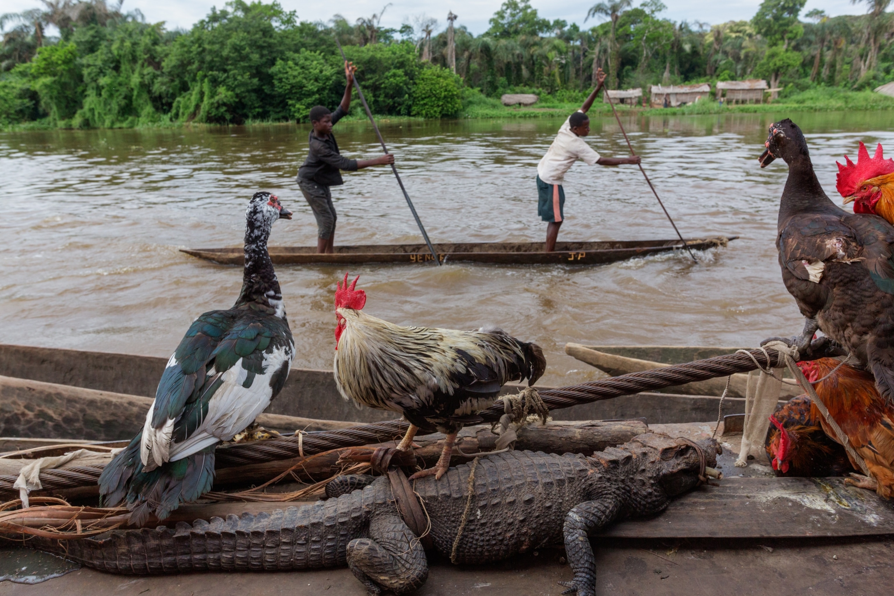 The Main Road Through the Heart of Africa Is the Congo River—For Those Who  Dare to Take It | National Geographic The Main Road Through the Heart of Africa Is the Congo River—For Those Who  Dare to Take It | National Geographic