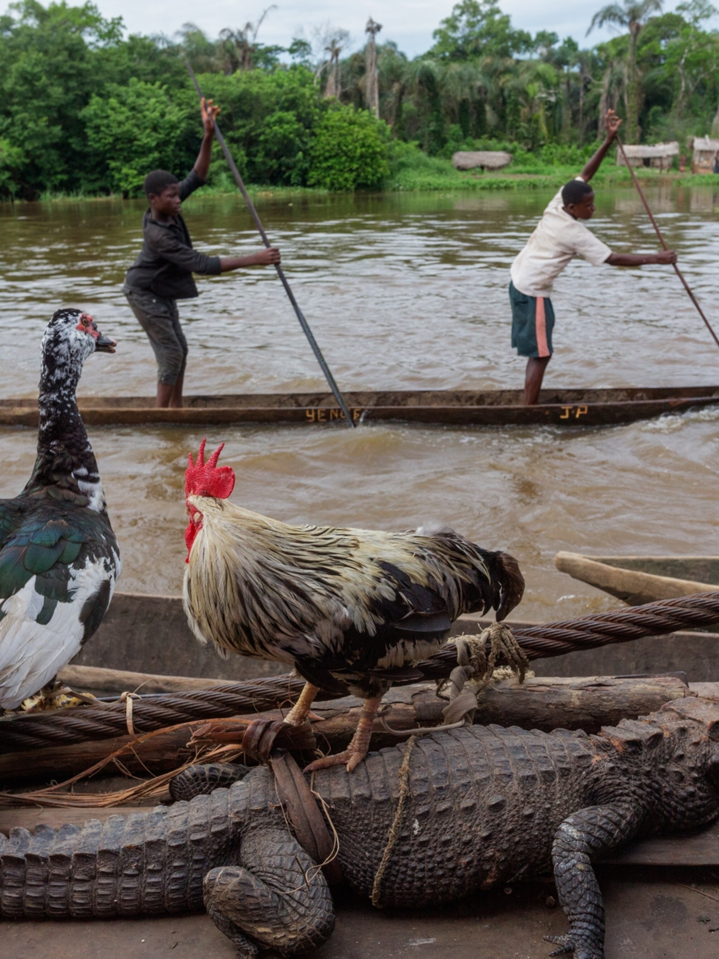 The Main Road Through the Heart of Africa Is the Congo River—For Those Who Dare to Take It The Main Road Through the Heart of Africa Is the Congo River—For Those Who Dare to Take It
